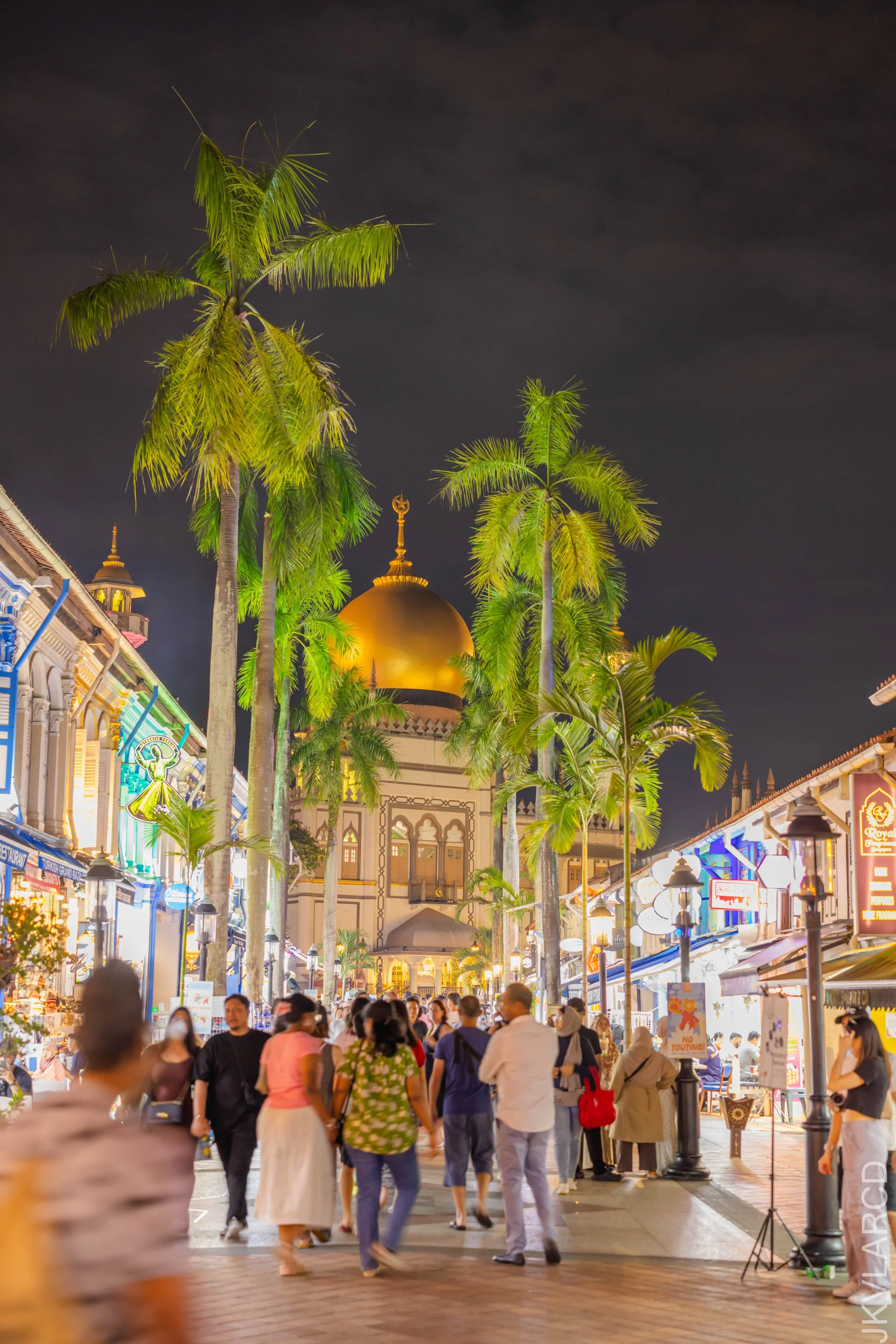 EOS R5_2024_08_24_0205.jpg