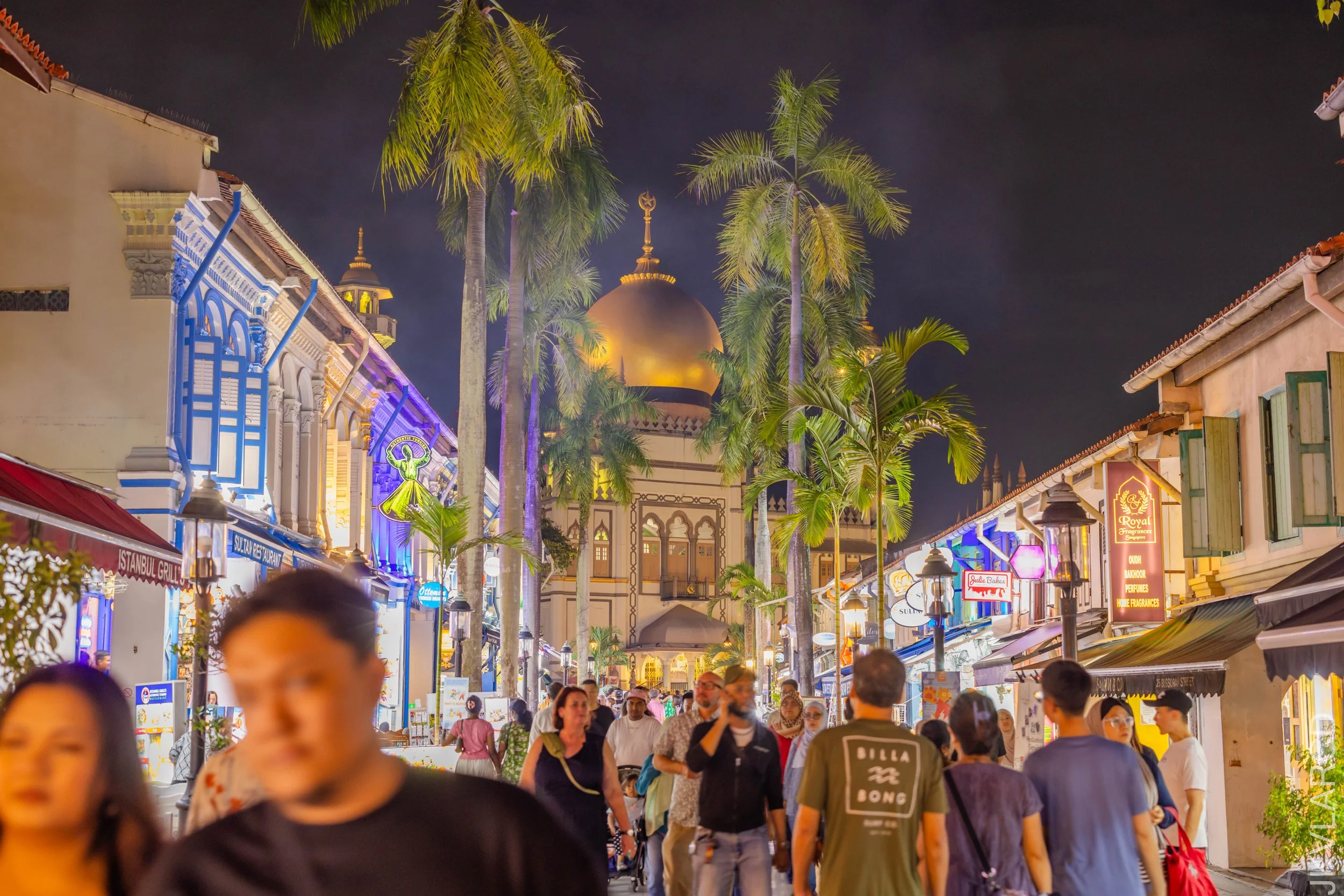 EOS R5_2024_08_24_0206.jpg