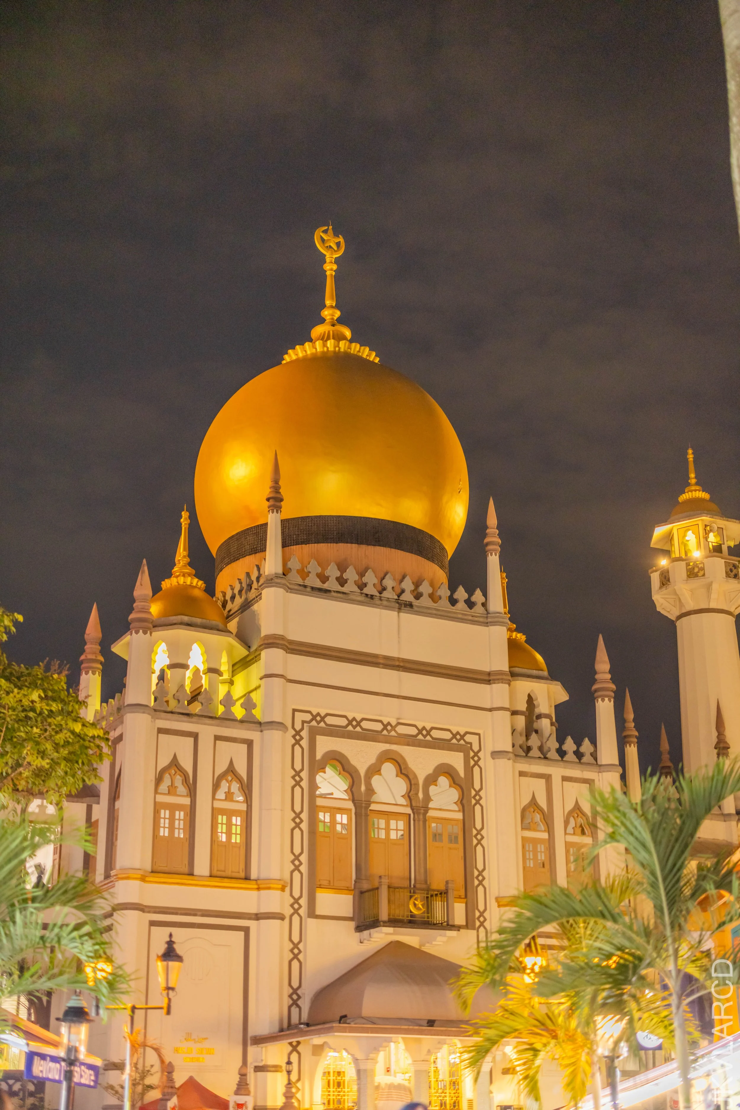 EOS R5_2024_08_24_0208.jpg