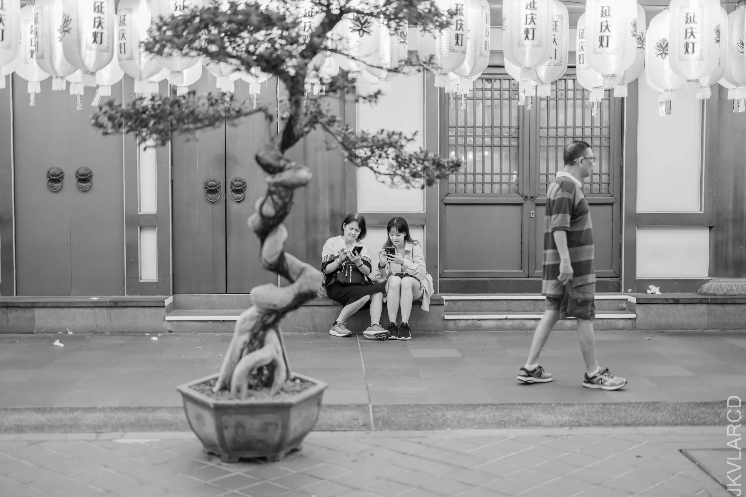 EOS R5_2024_09_07_0080.jpg