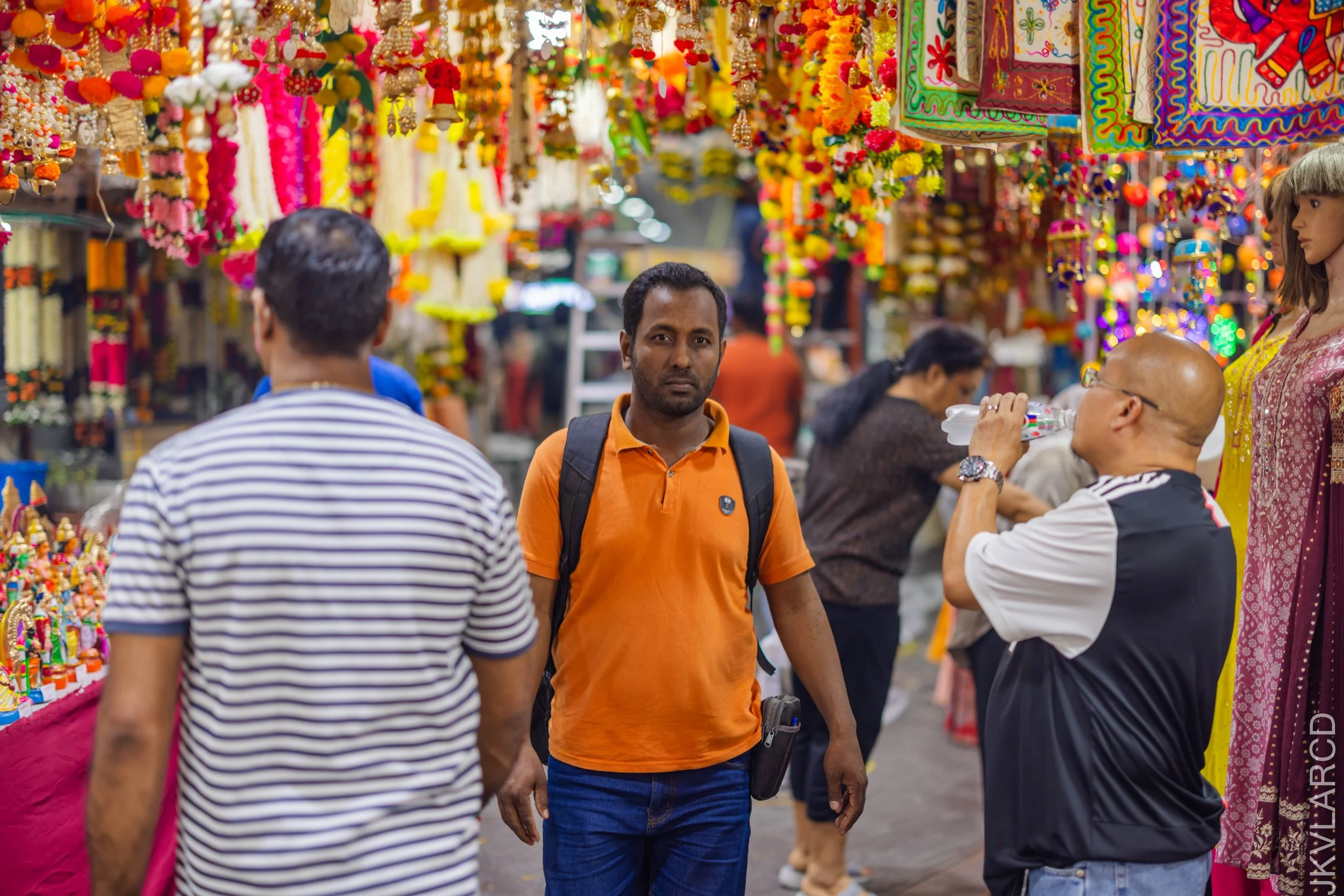 EOS R5_2024_09_28_0024.jpg