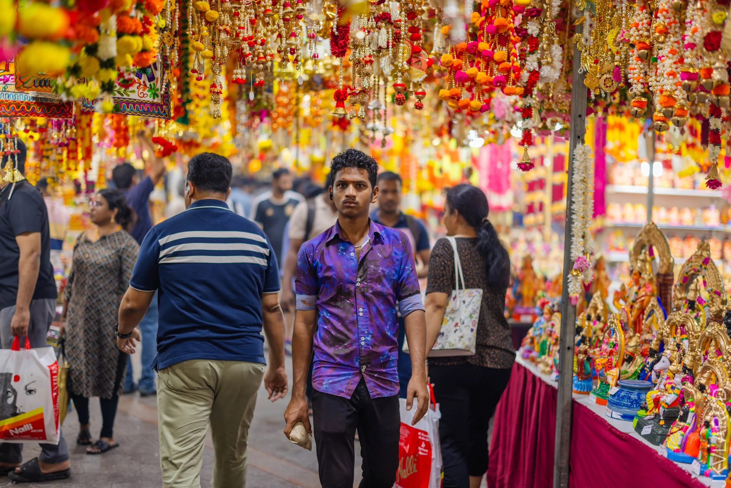 EOS R5_2024_09_28_0027.jpg