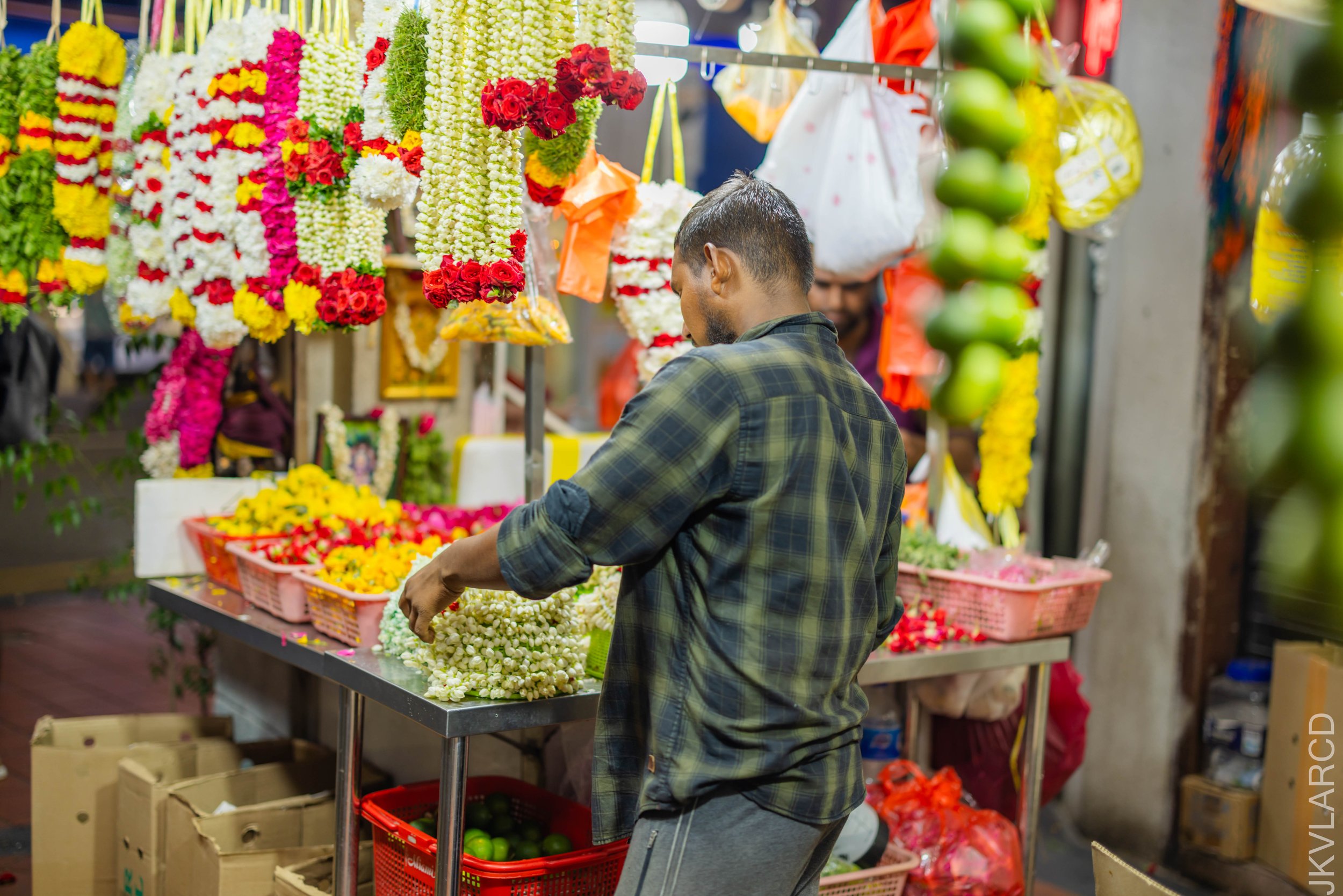 EOS R5_2024_09_28_0058.jpg