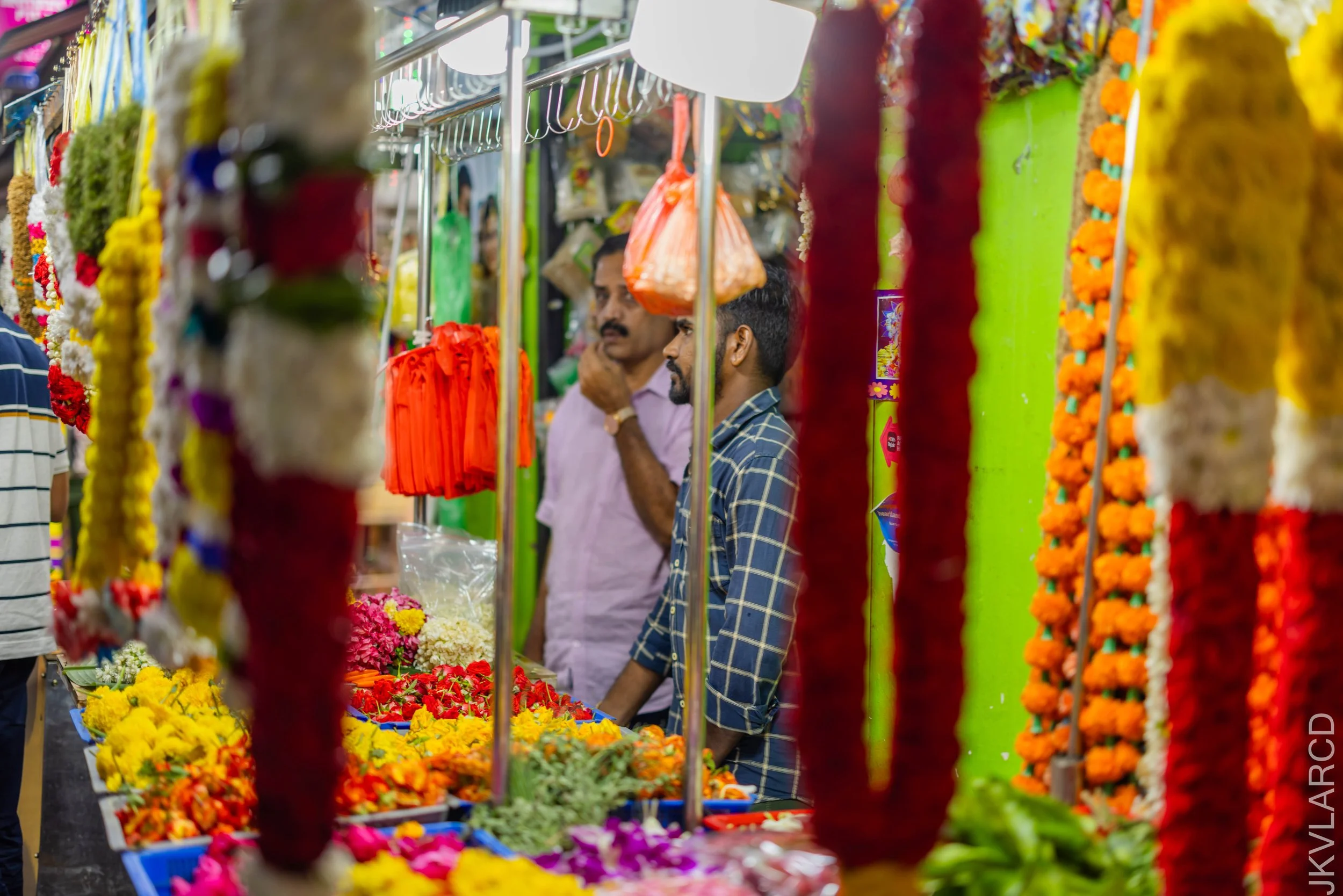 EOS R5_2024_09_28_0135.jpg