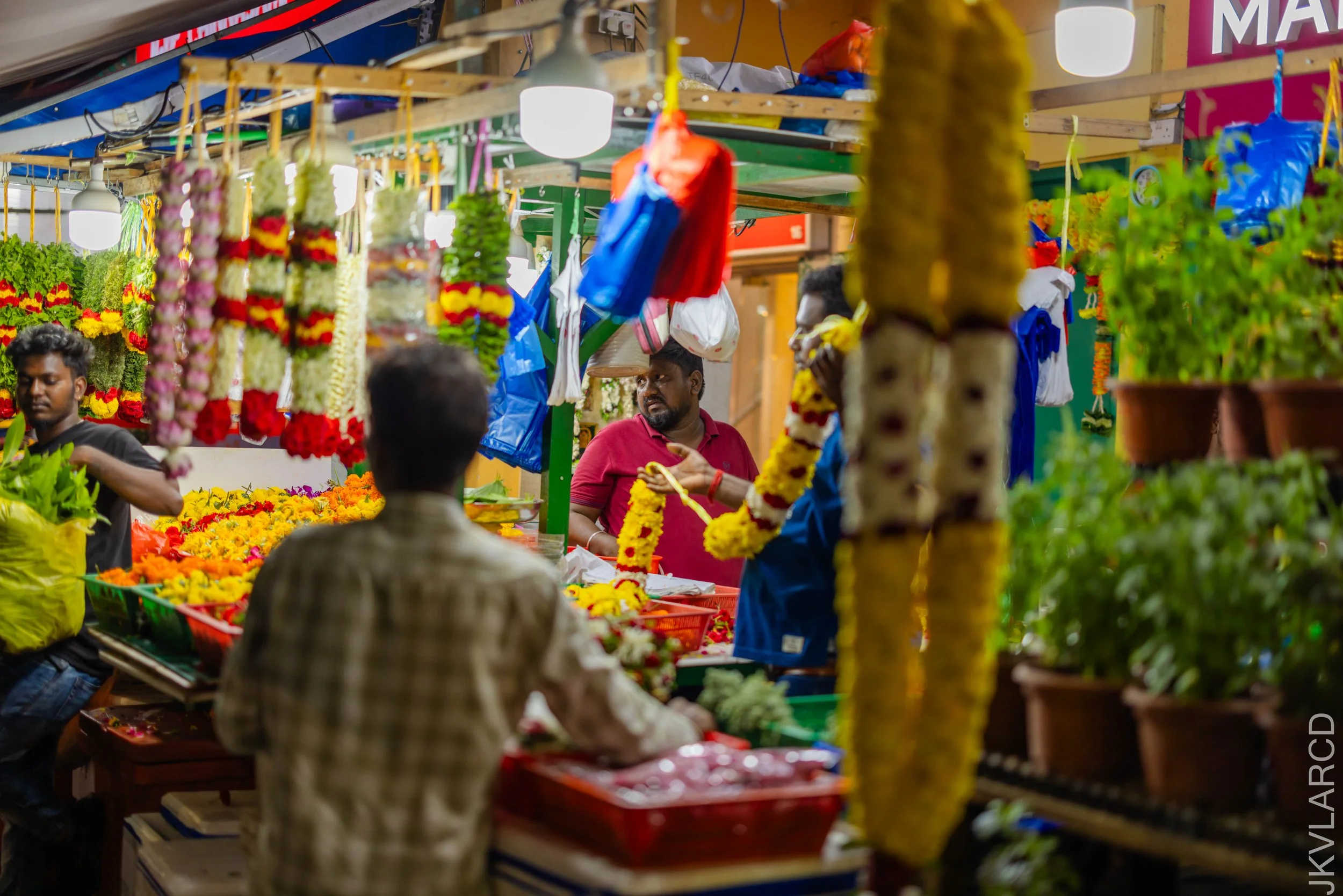 EOS R5_2024_09_28_0168.jpg