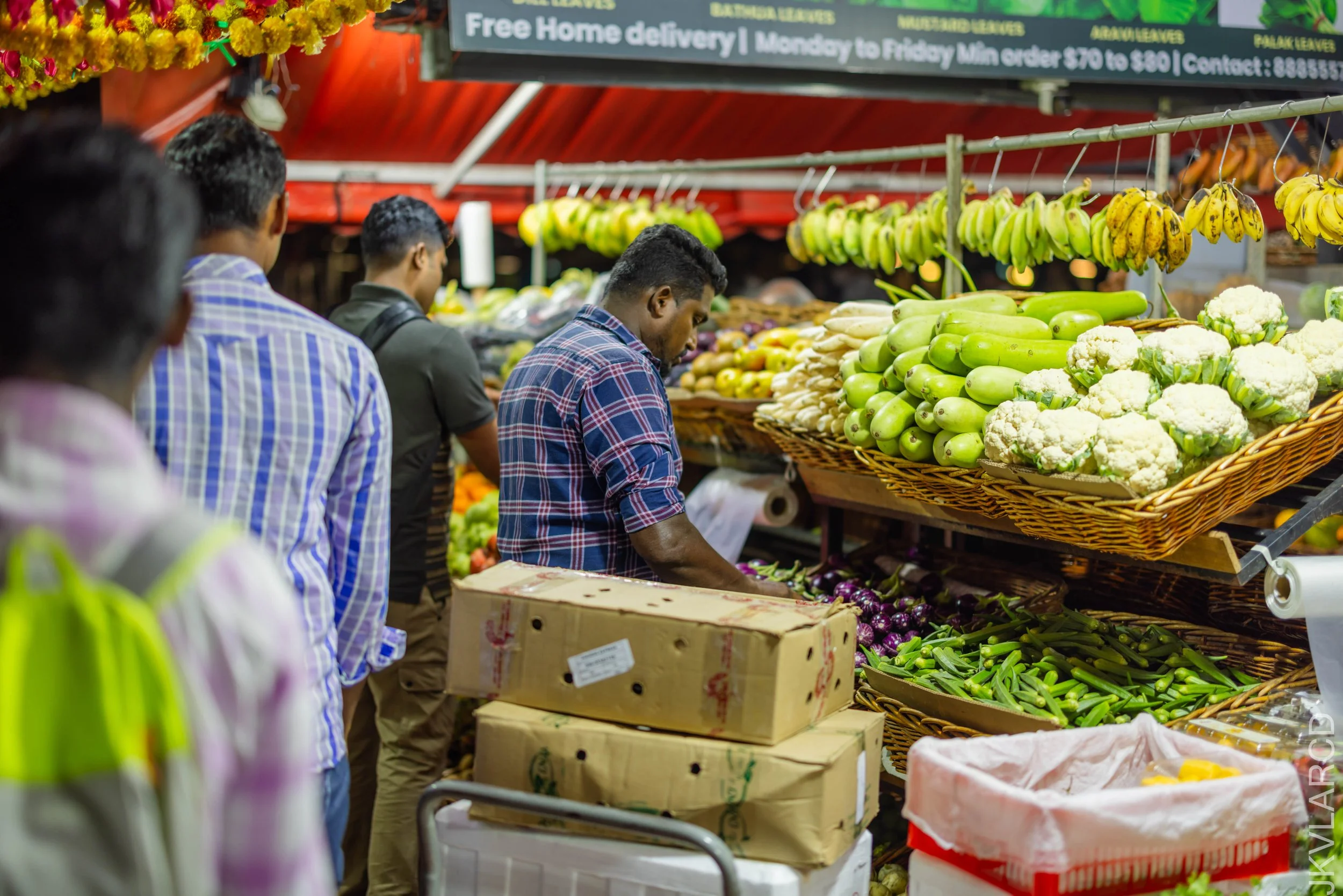 EOS R5_2024_09_28_0184.jpg