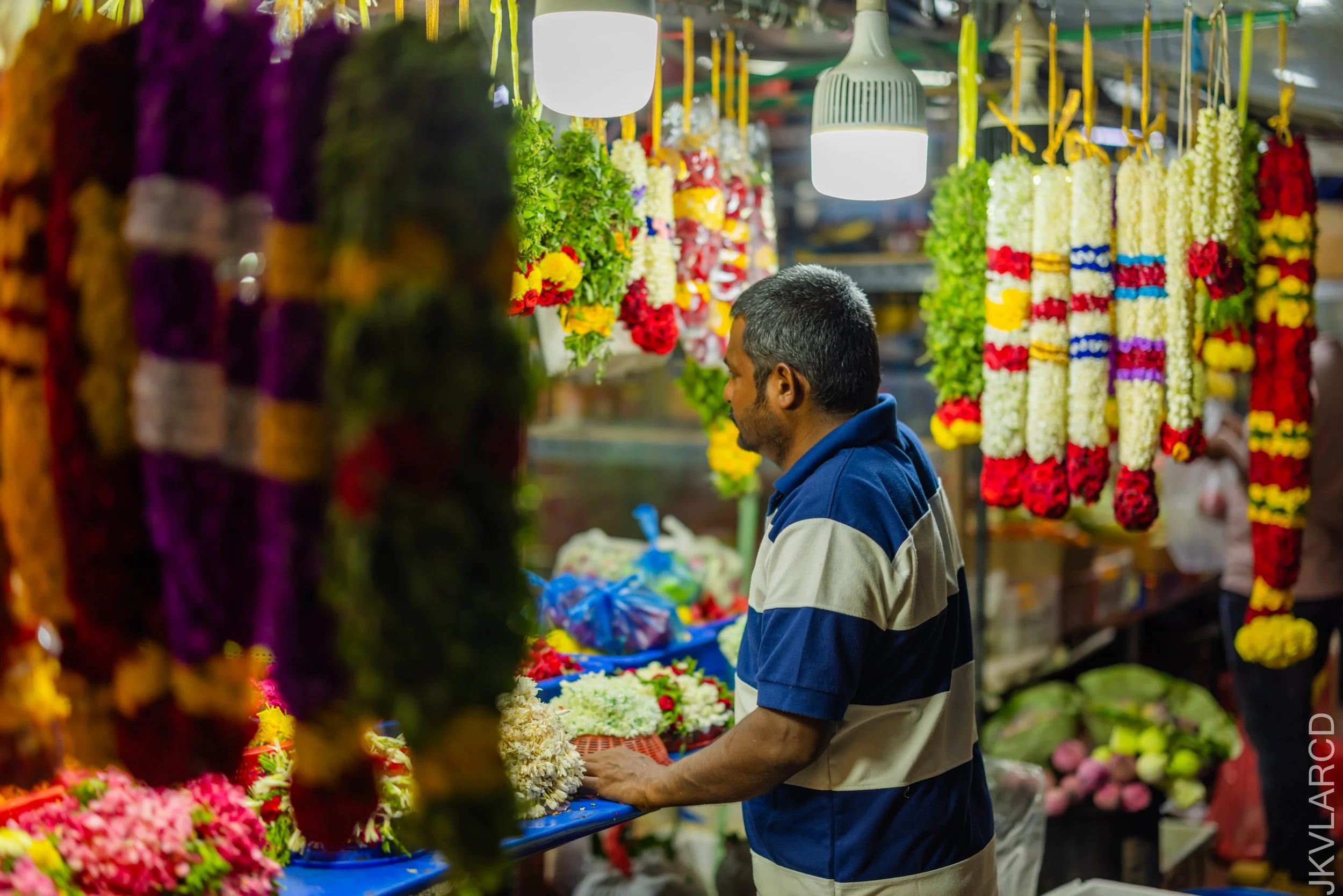 EOS R5_2024_09_28_0189.jpg