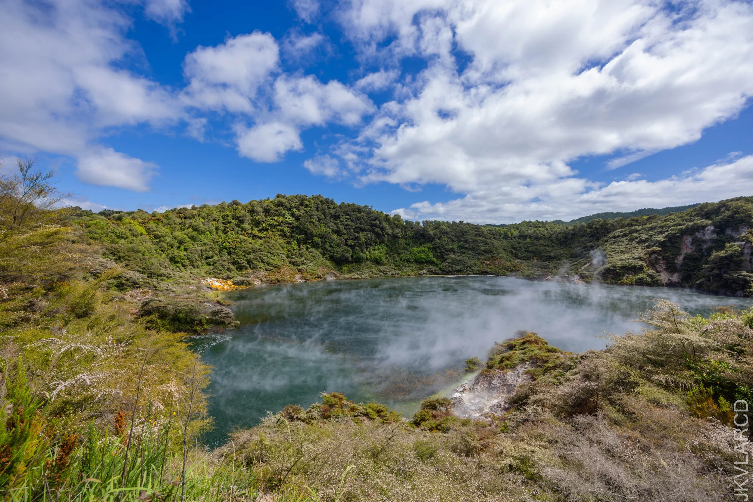 EOS R5_2024_11_03_0018.jpg