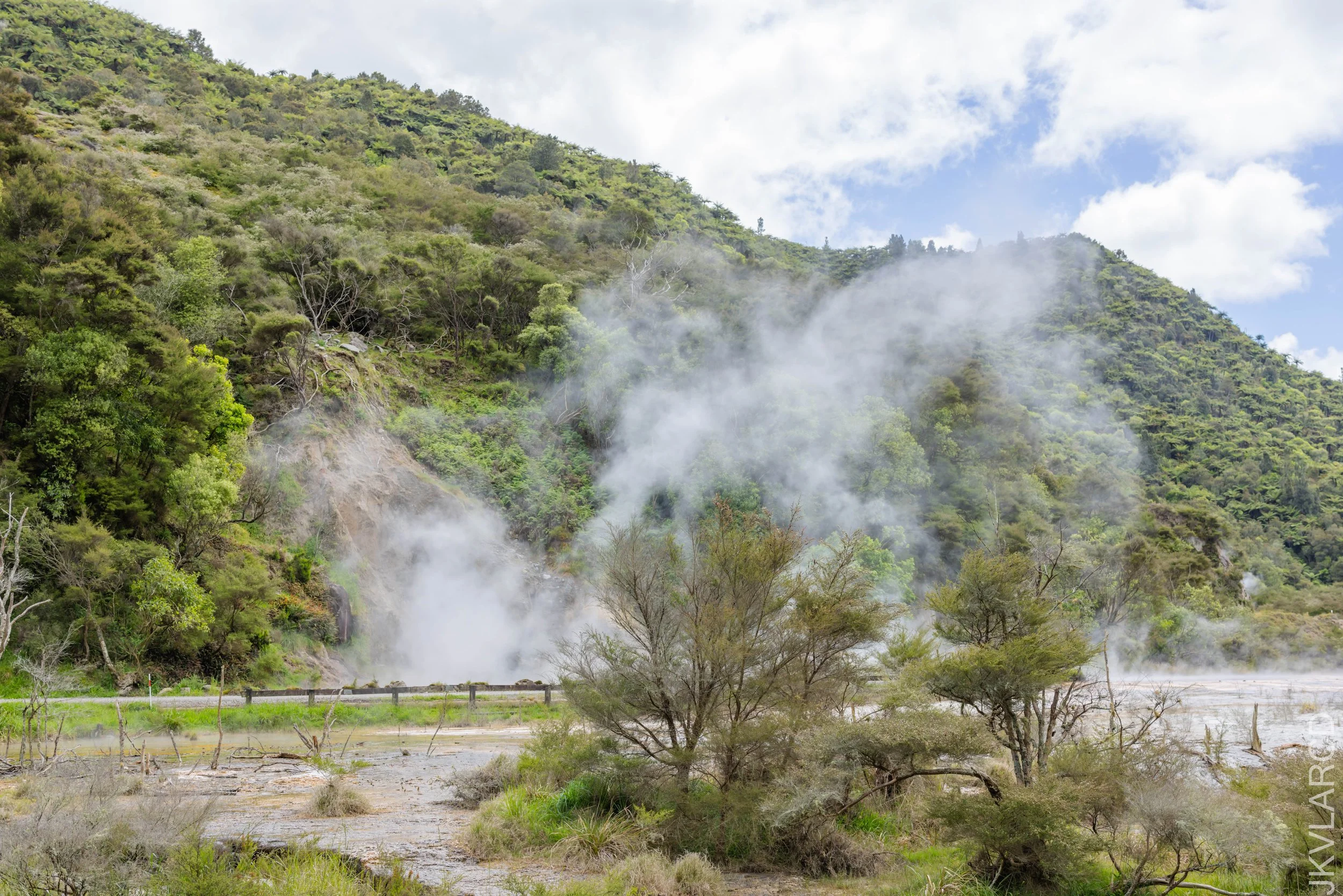 EOS R5_2024_11_03_0077.jpg