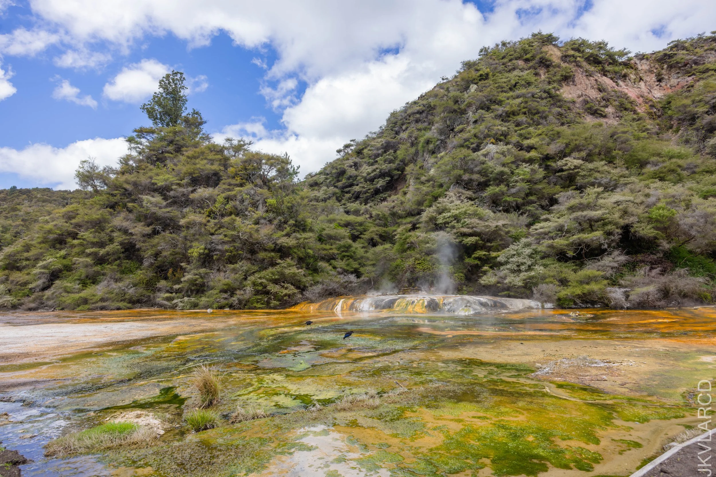 EOS R5_2024_11_03_0089.jpg