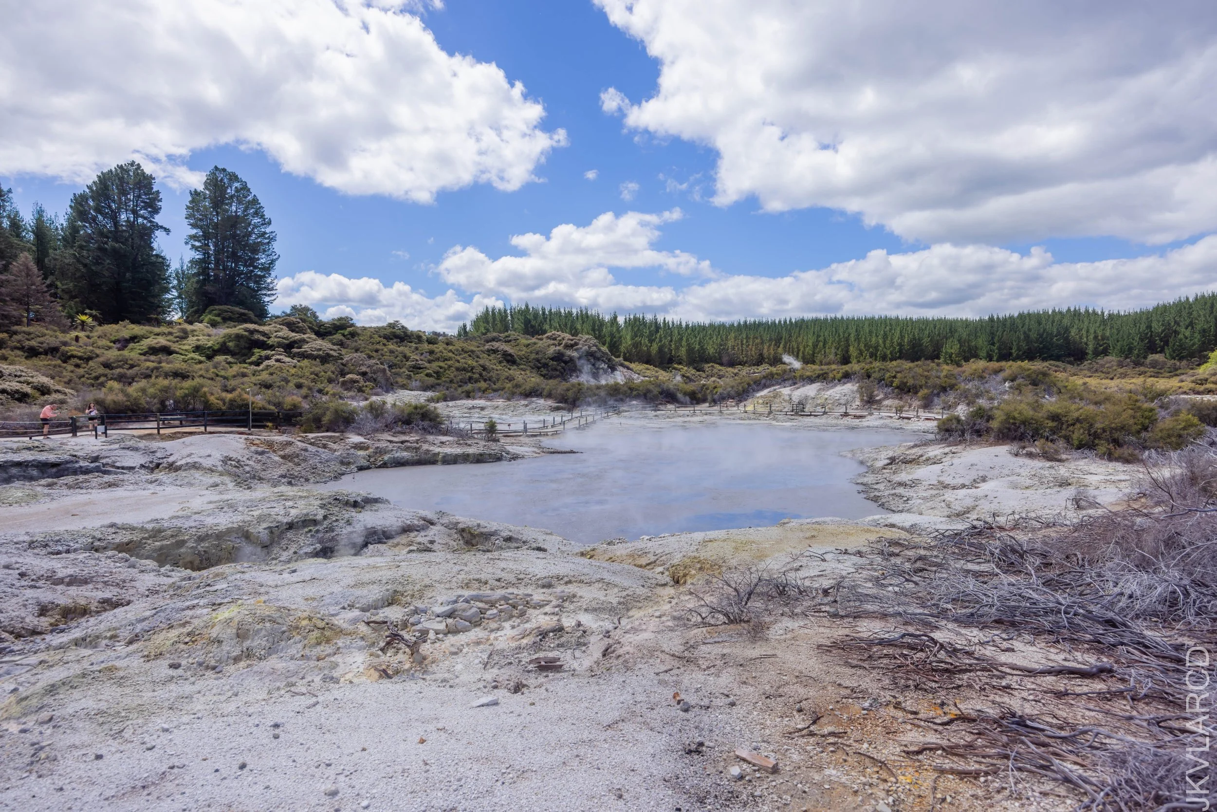 EOS R5_2024_11_03_0117.jpg