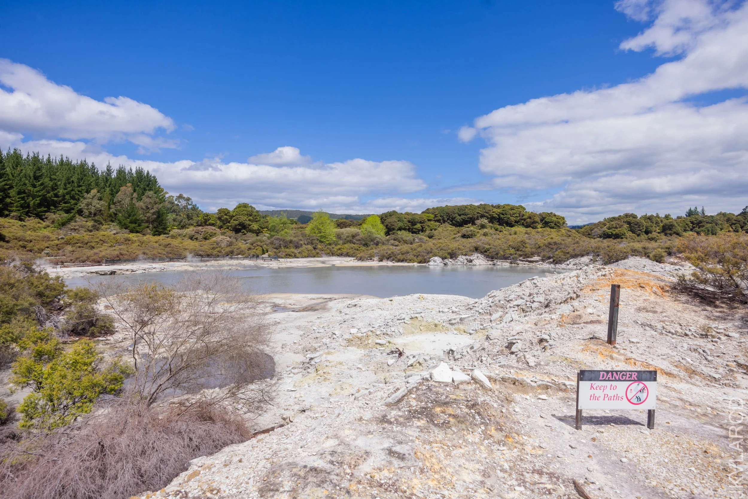 EOS R5_2024_11_03_0134.jpg