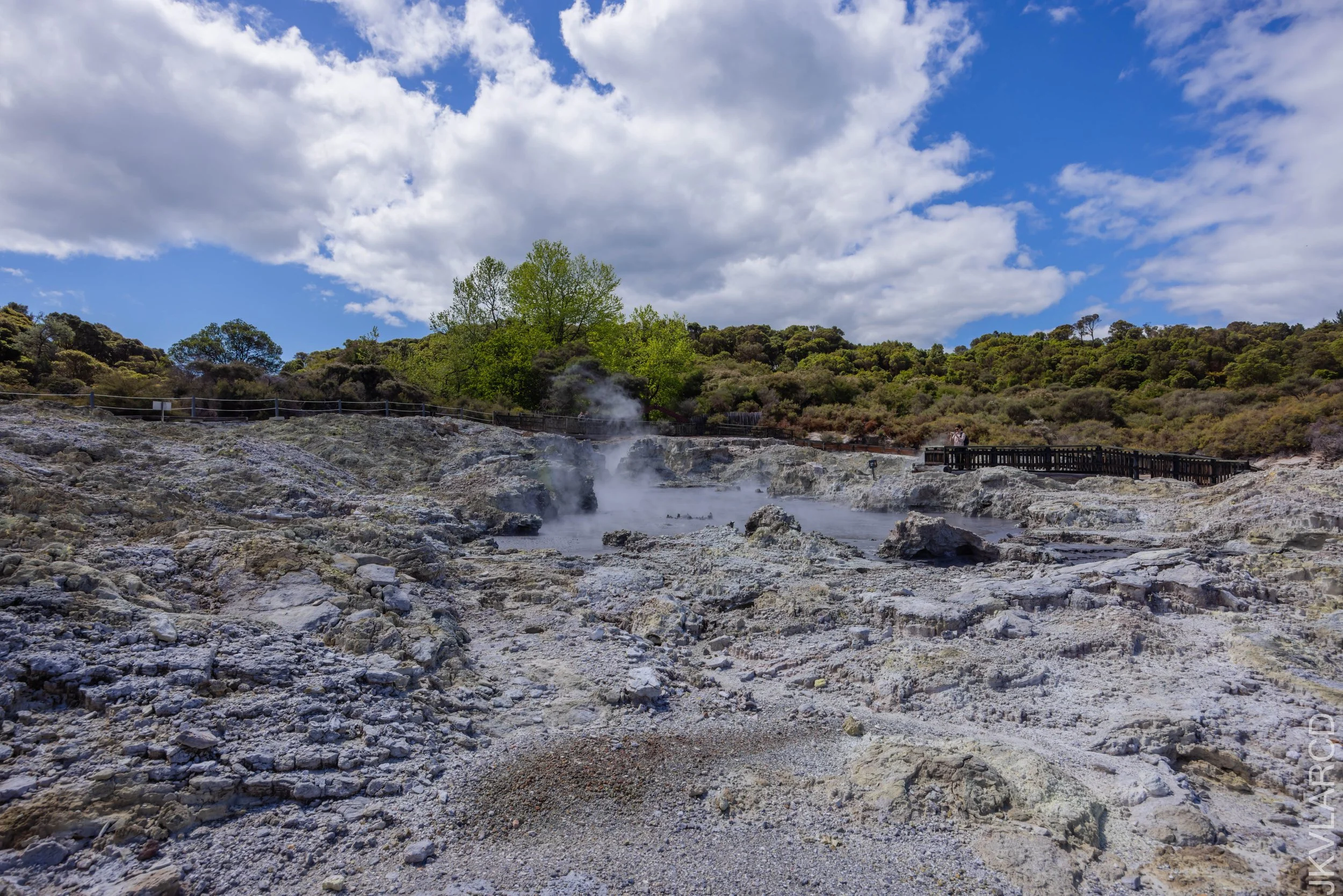 EOS R5_2024_11_03_0151.jpg