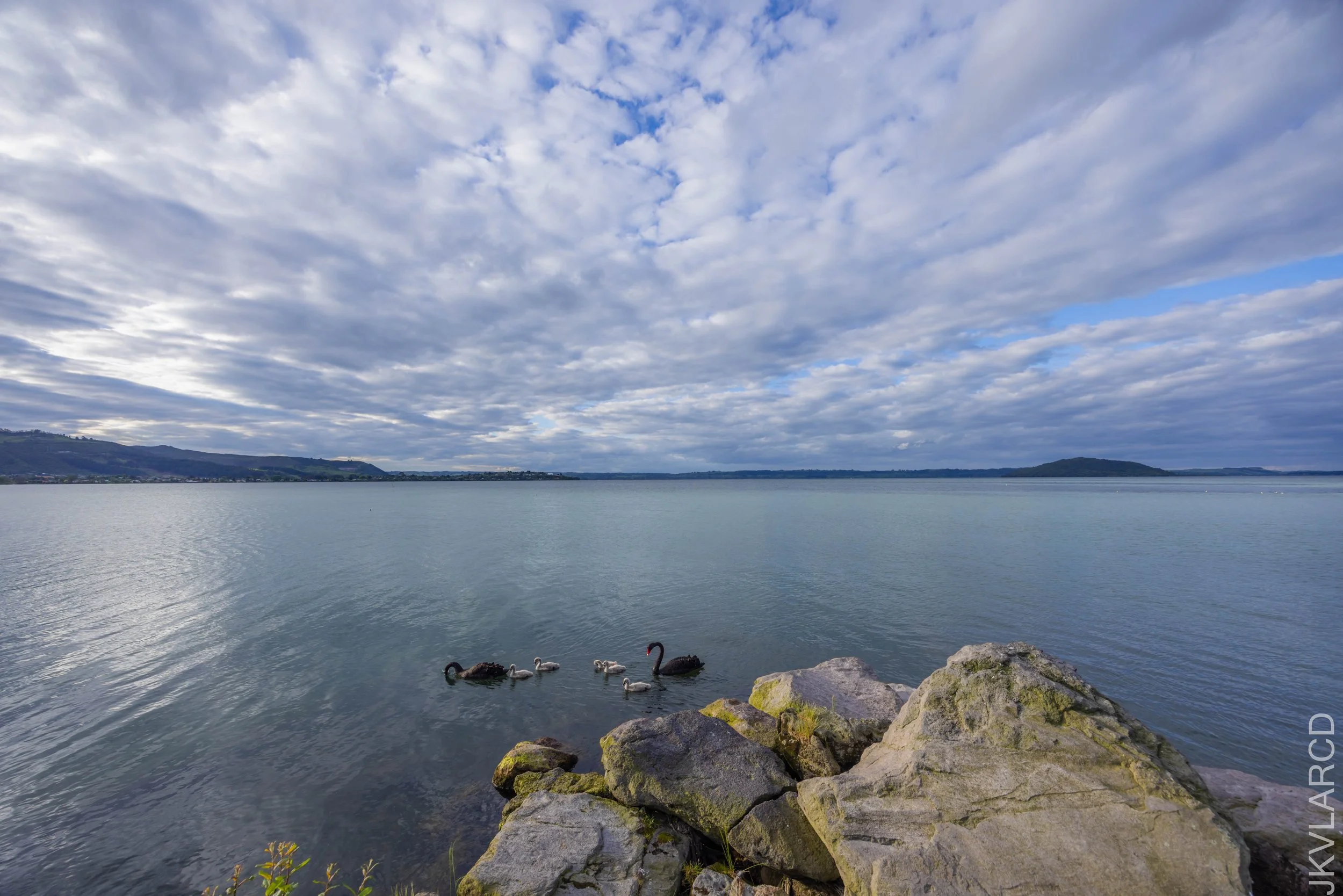 EOS R5_2024_11_03_0160.jpg