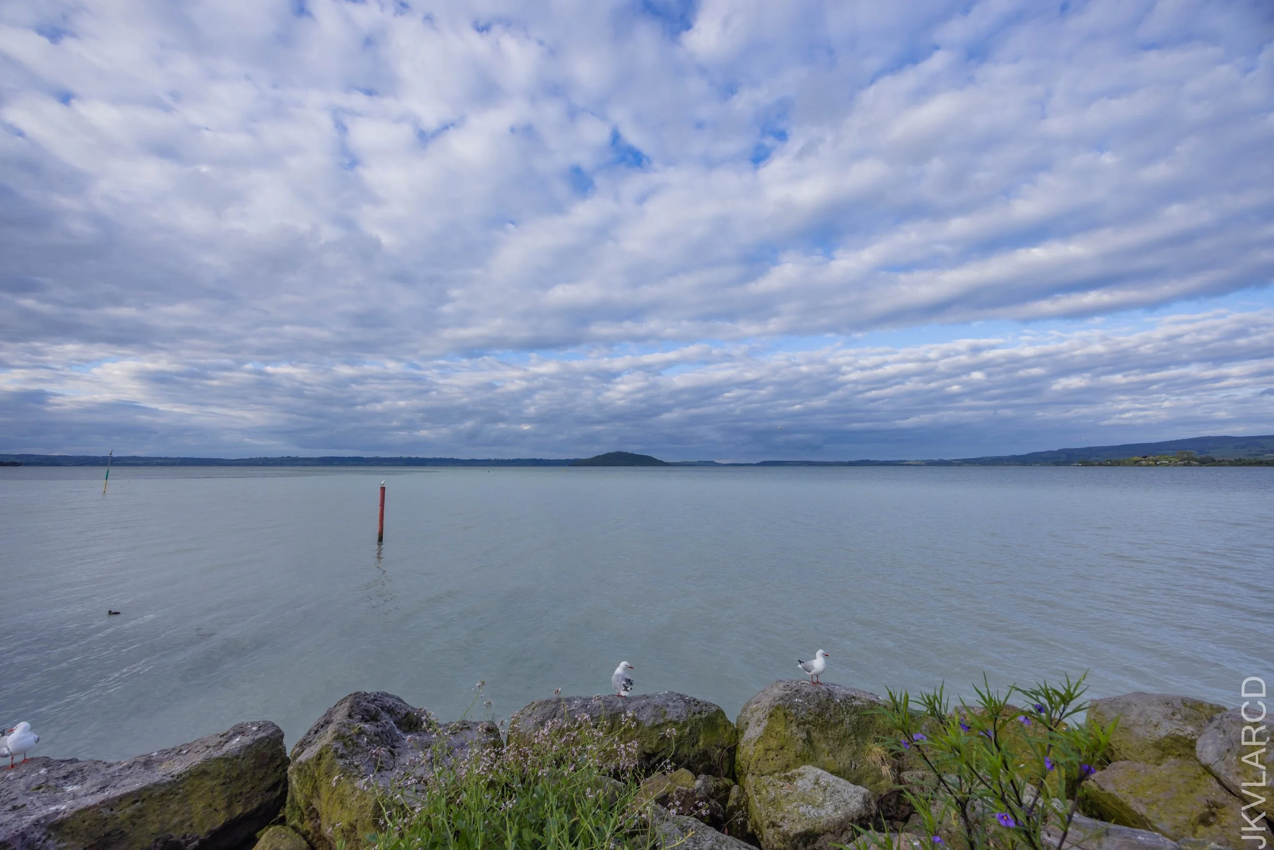 EOS R5_2024_11_03_0169.jpg