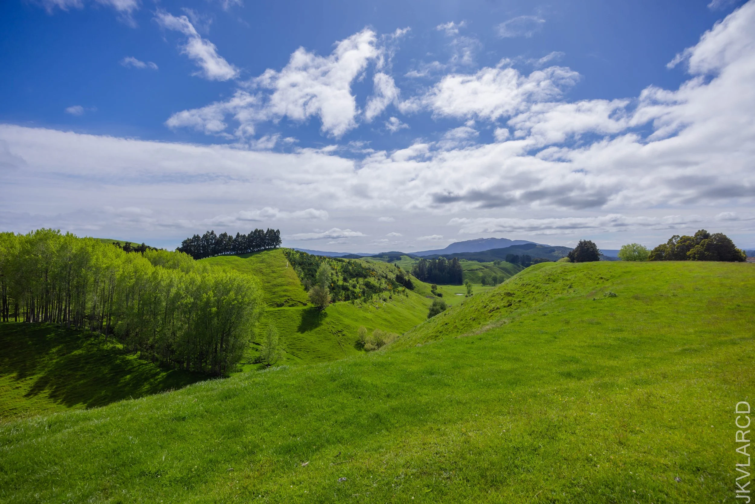 EOS R5_2024_11_03_0003-JKVLARCD-2.jpg