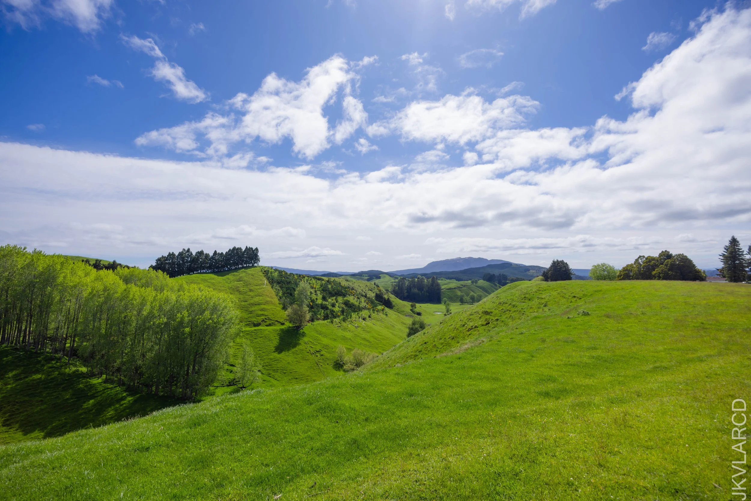 EOS R5_2024_11_03_0004-JKVLARCD-2.jpg