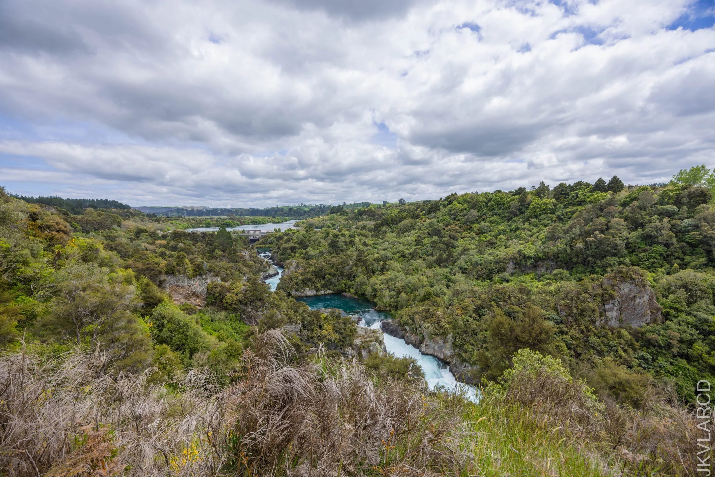 EOS R5_2024_11_04_0016.jpg