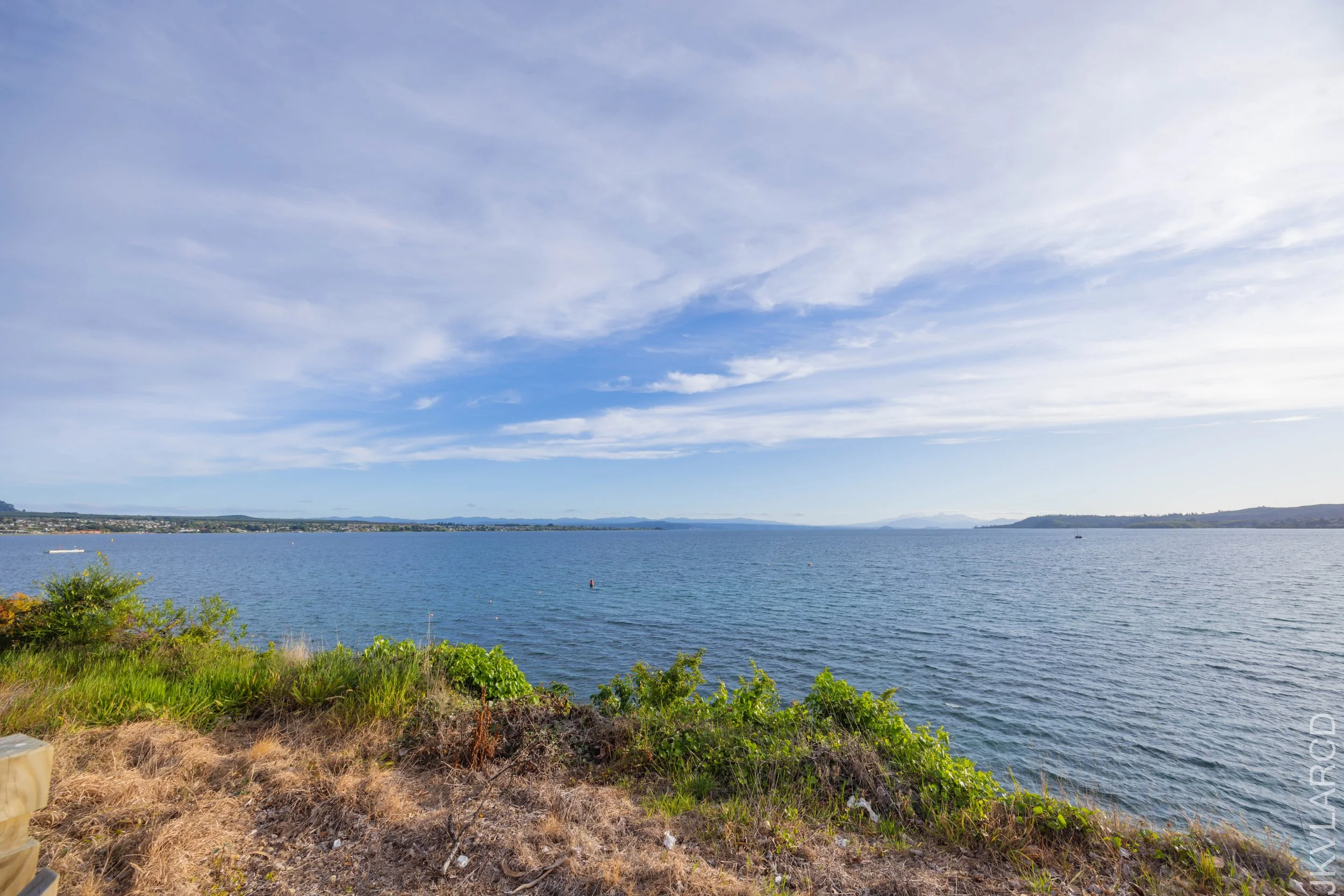 EOS R5_2024_11_04_0042.jpg