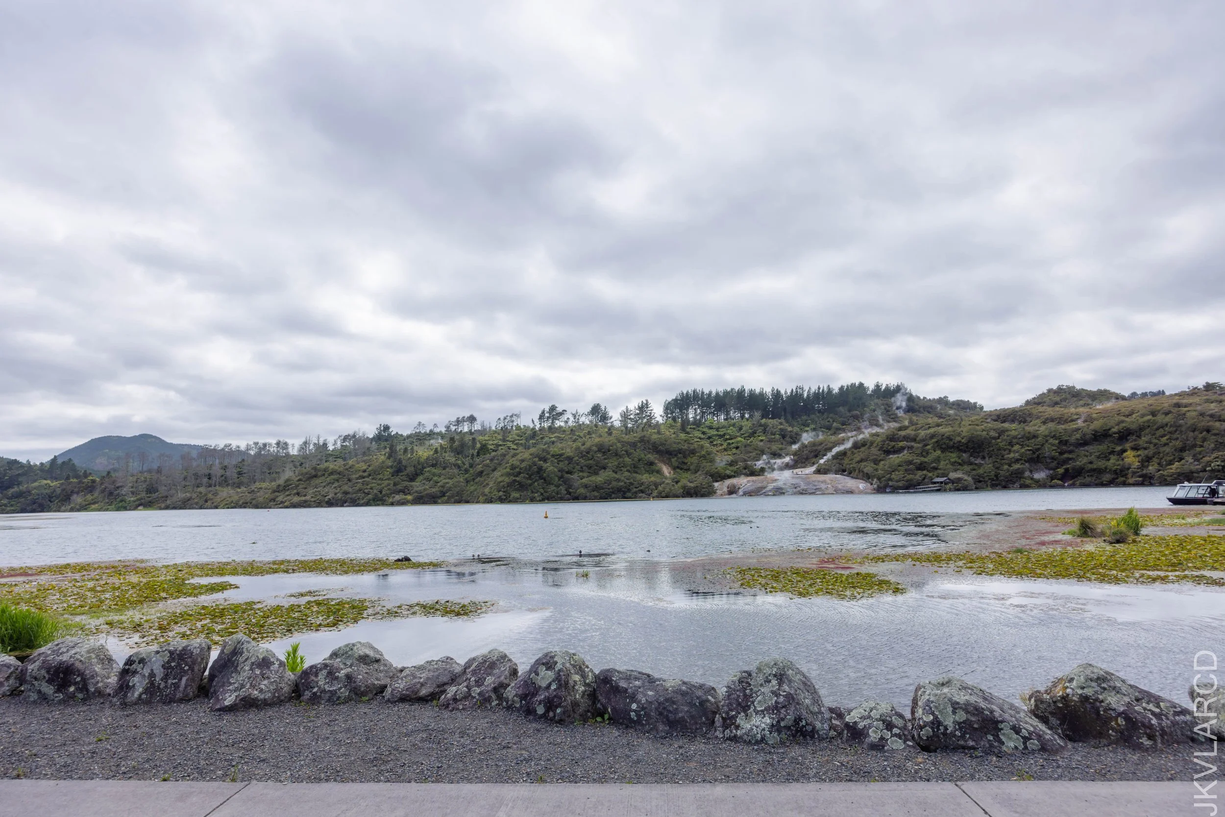 EOS R5_2024_11_05_0002.jpg