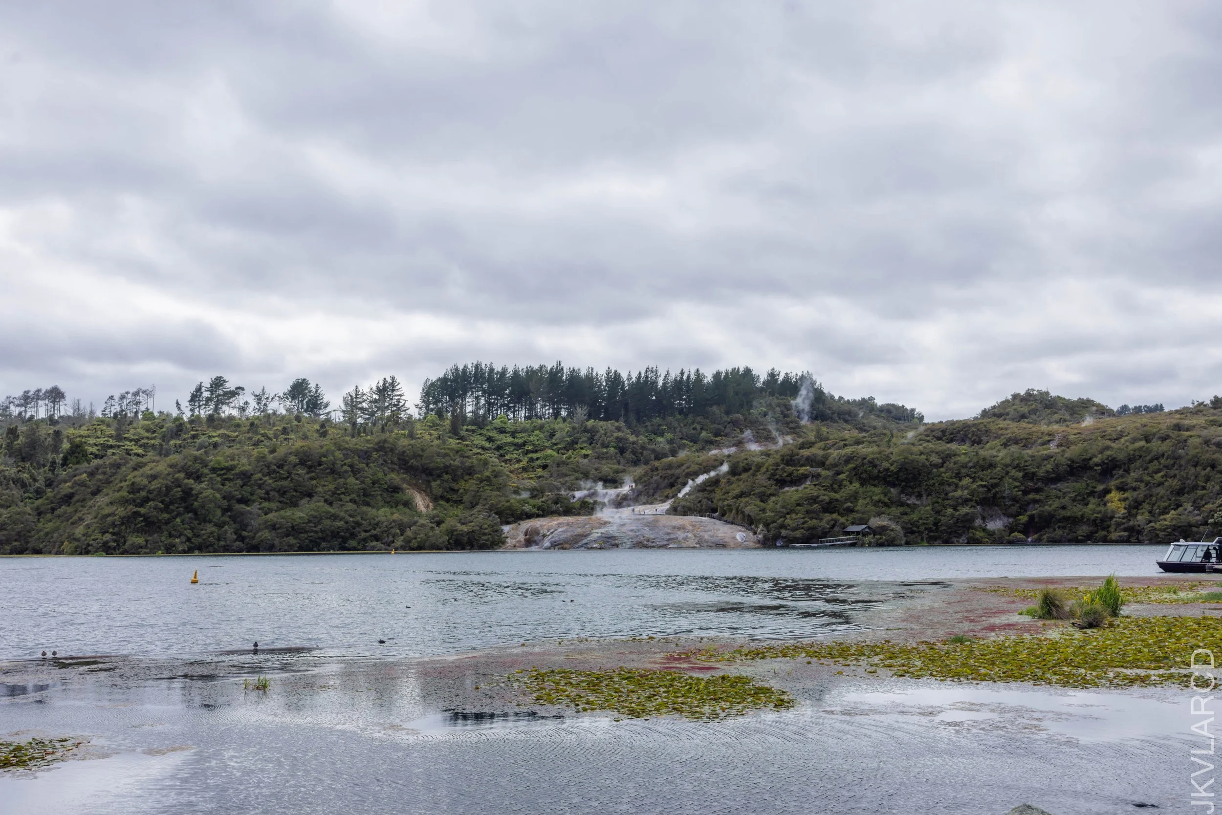 EOS R5_2024_11_05_0001.jpg