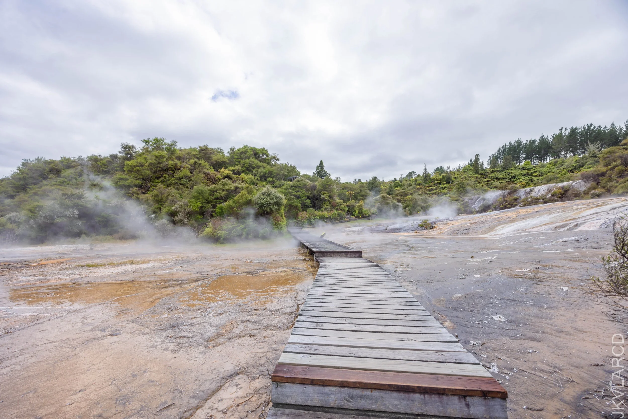 EOS R5_2024_11_05_0007.jpg