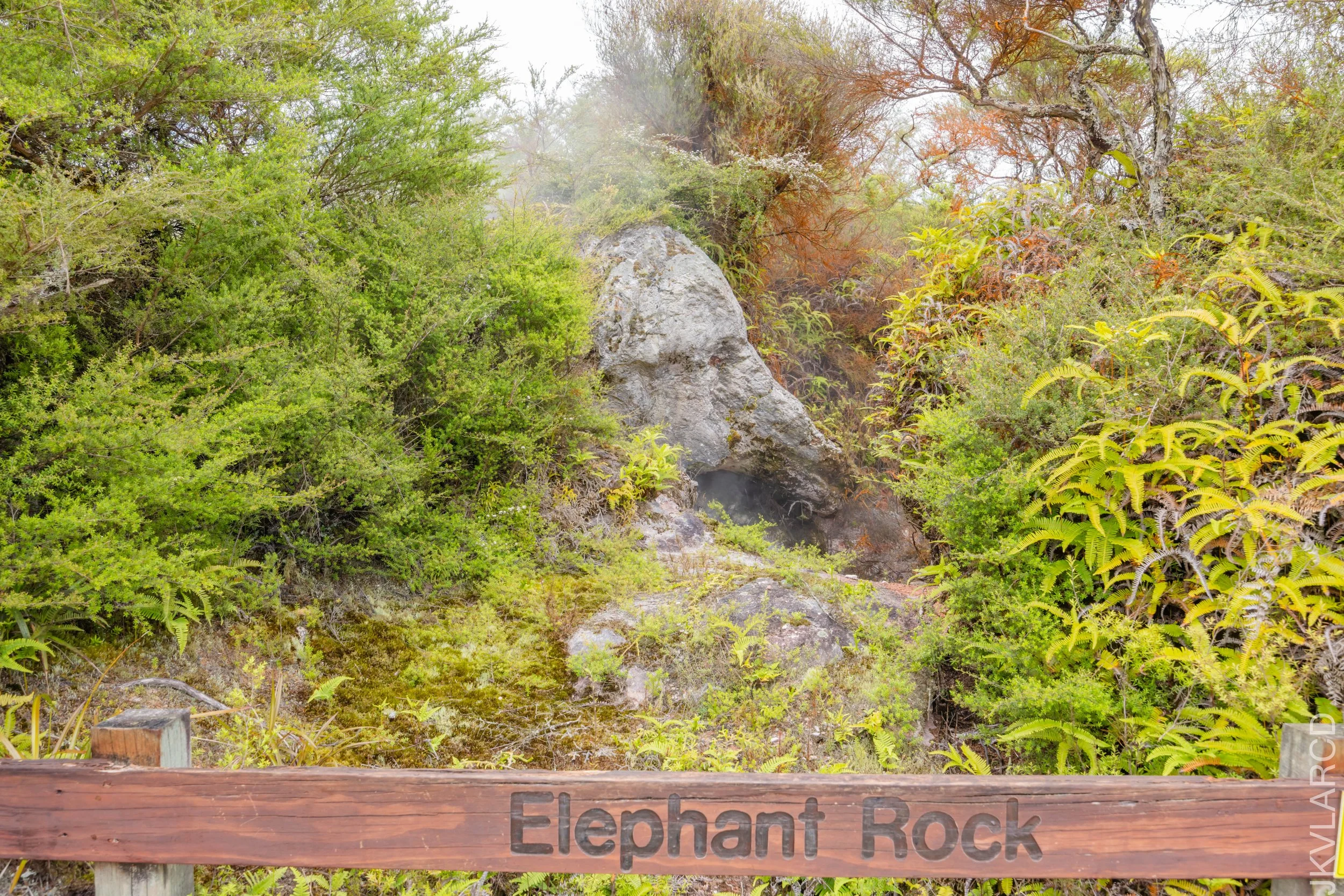 EOS R5_2024_11_05_0029.jpg