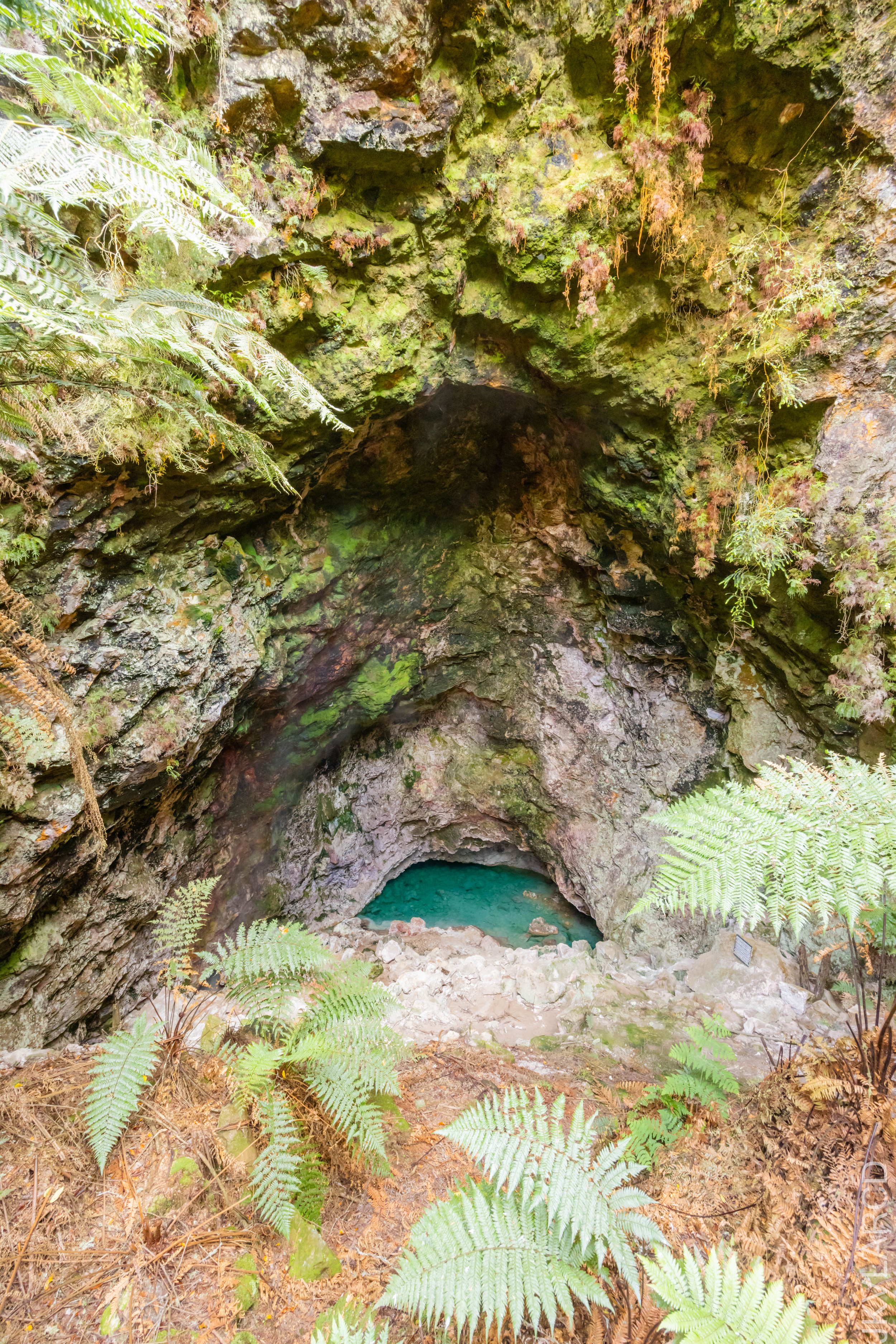 EOS R5_2024_11_05_0040.jpg