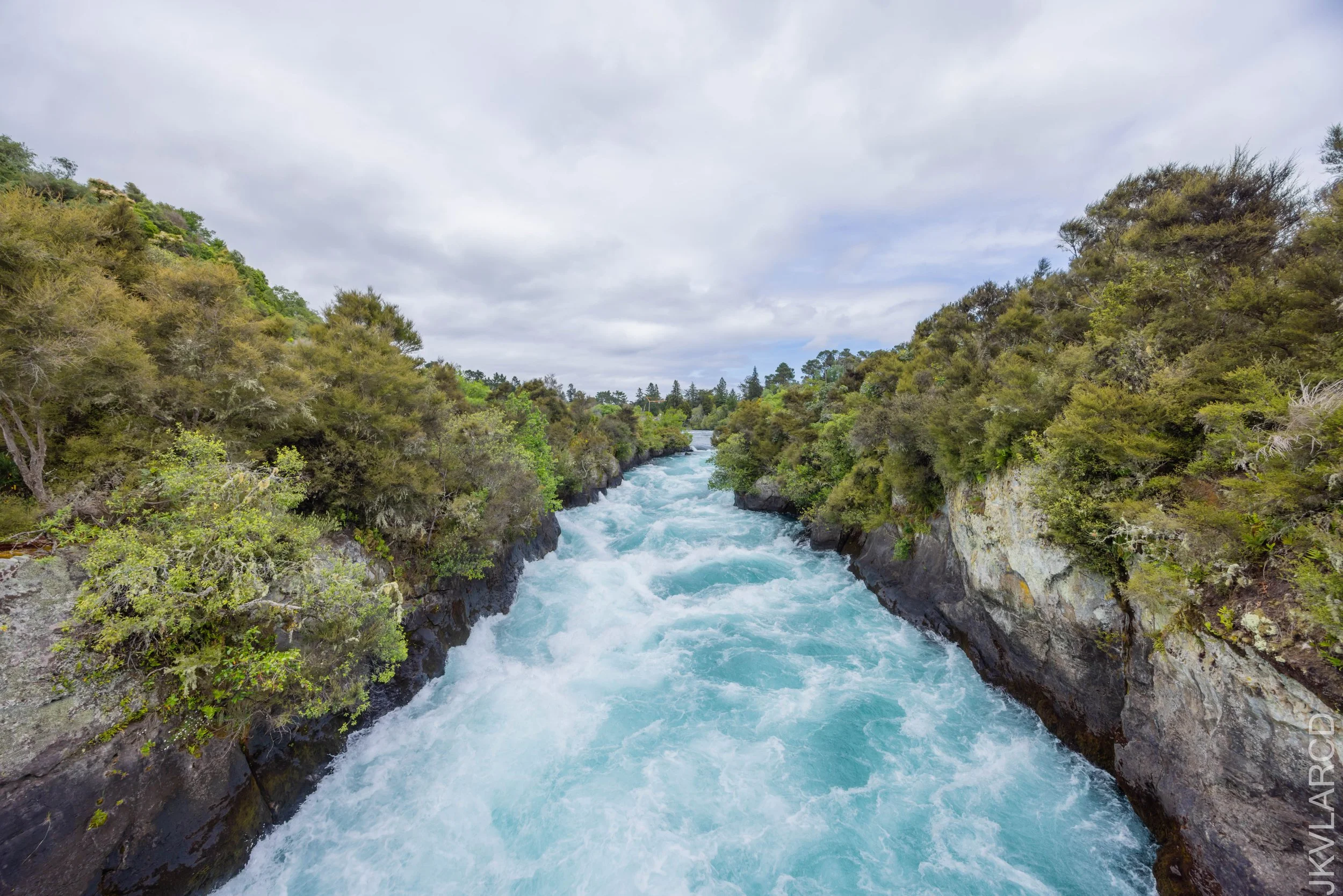 EOS R5_2024_11_05_0064.jpg