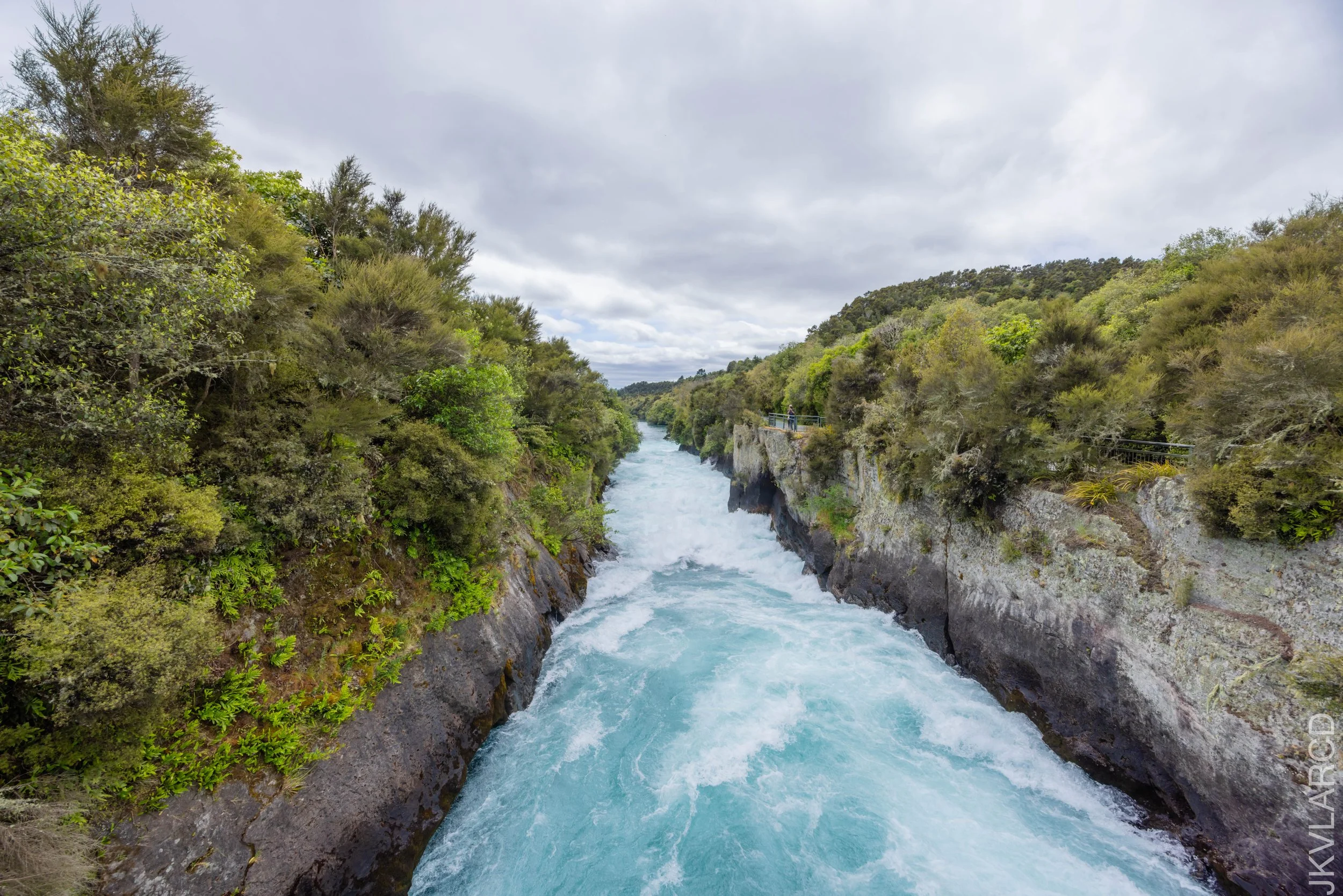 EOS R5_2024_11_05_0066.jpg