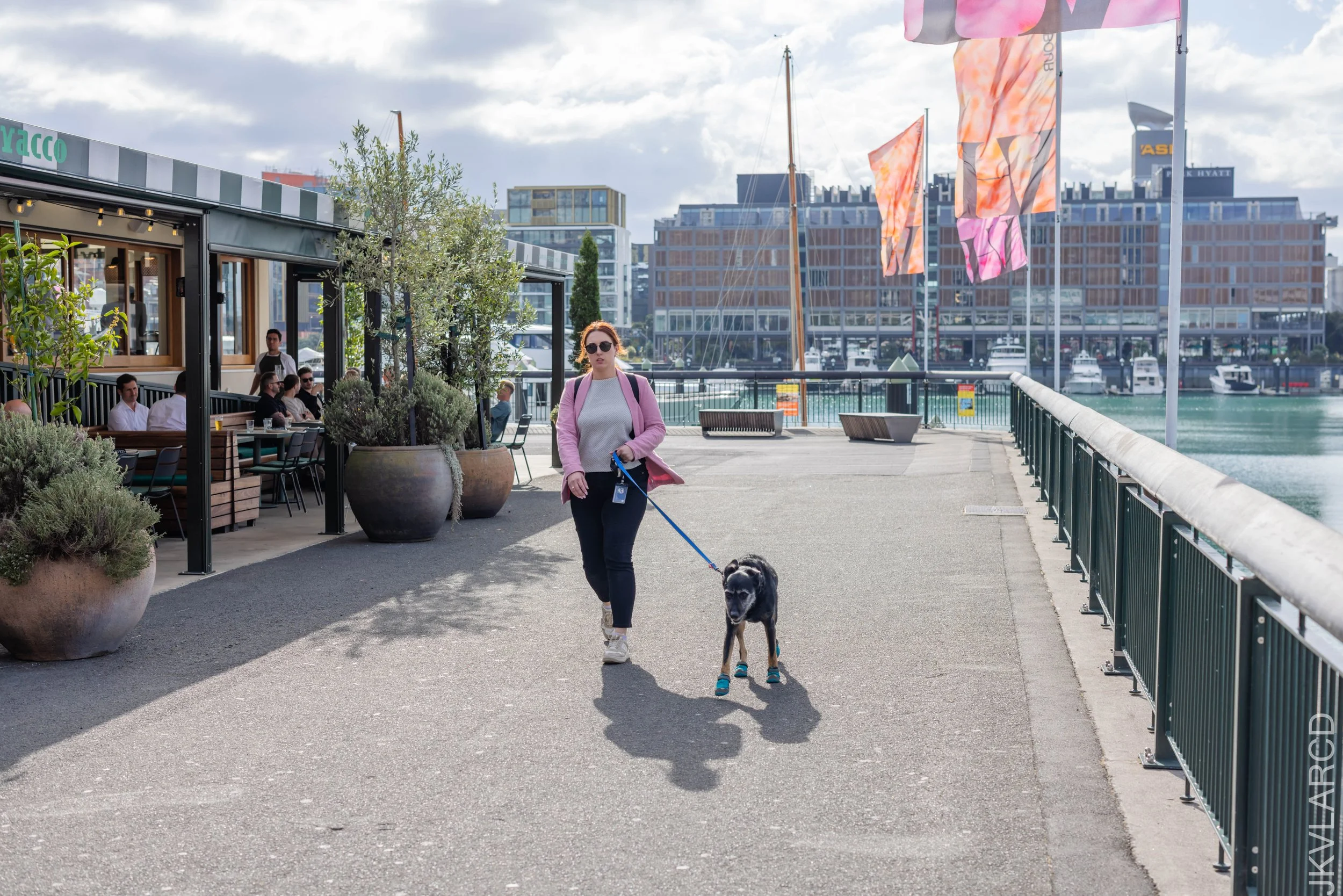 EOS R5_2024_11_07_0103.jpg