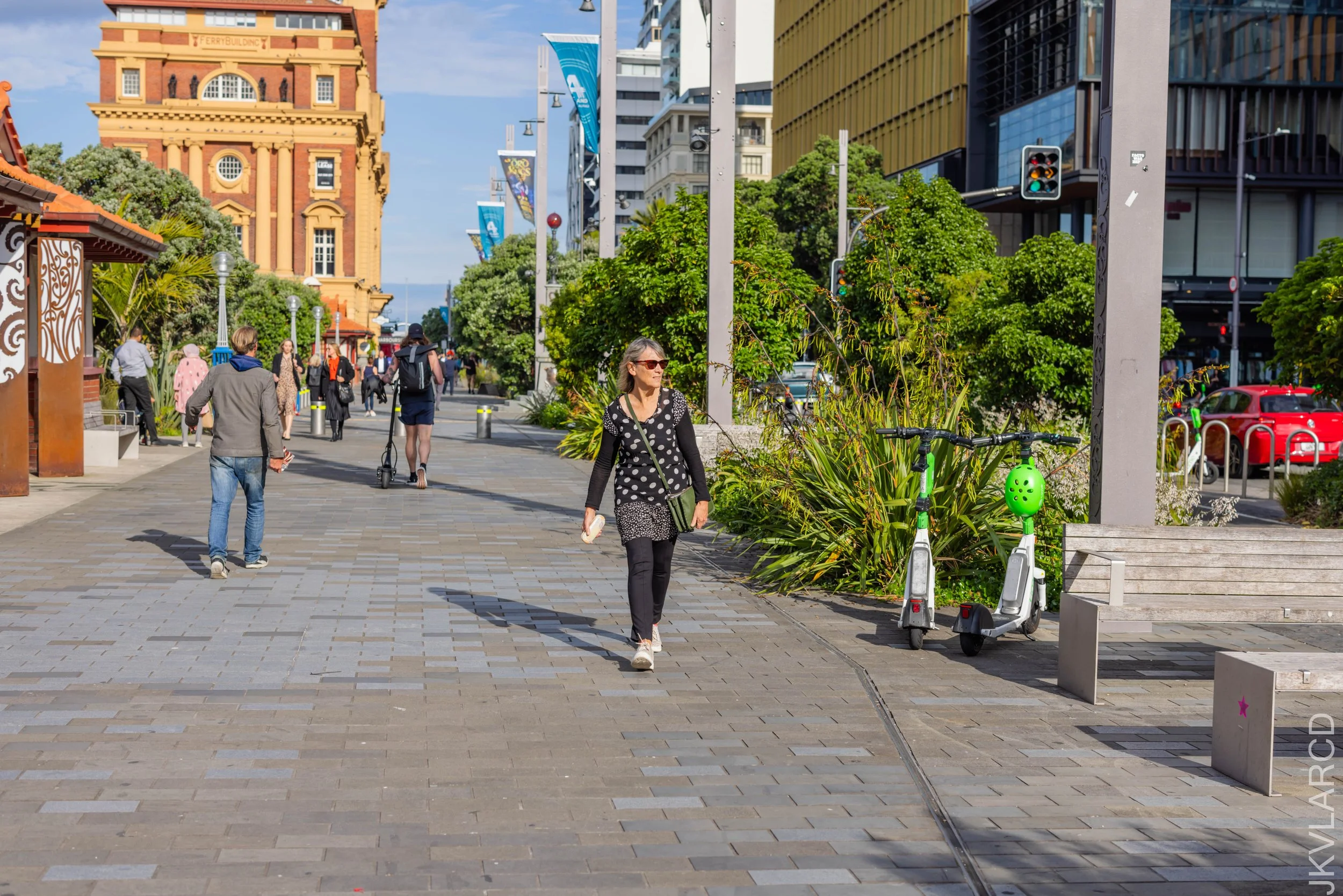 EOS R5_2024_11_07_0114.jpg