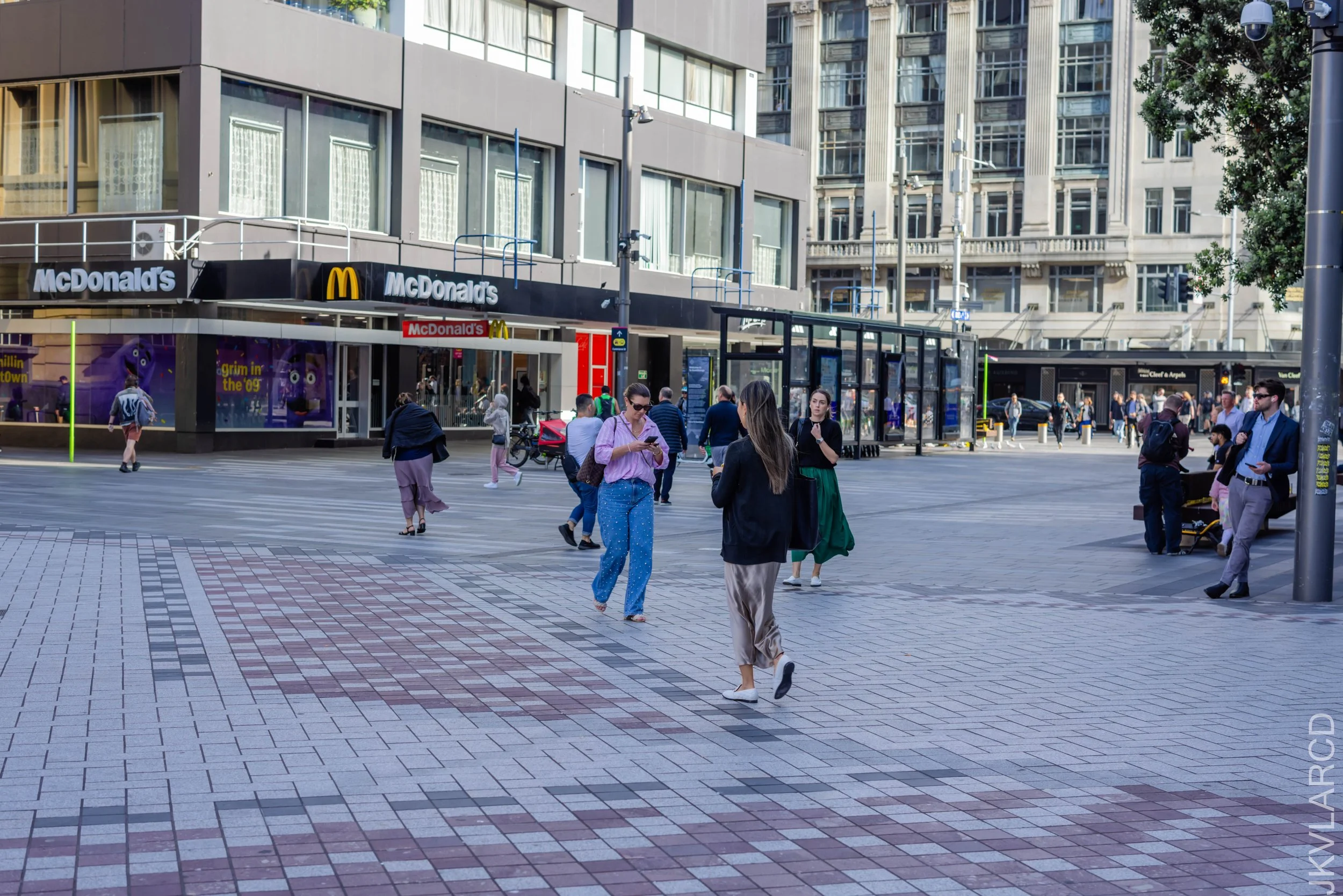 EOS R5_2024_11_07_0129.jpg