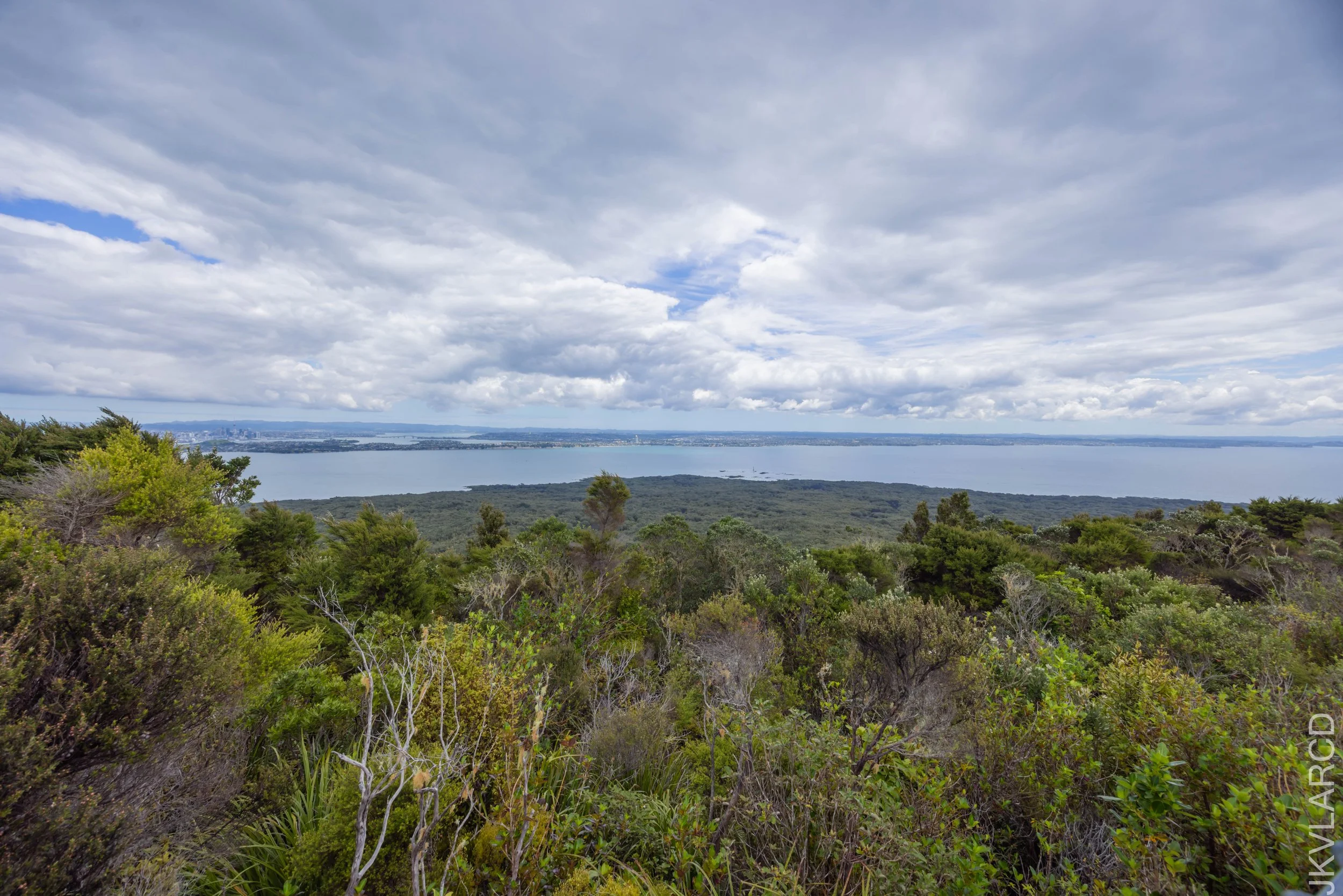 EOS R5_2024_11_08_0011.jpg