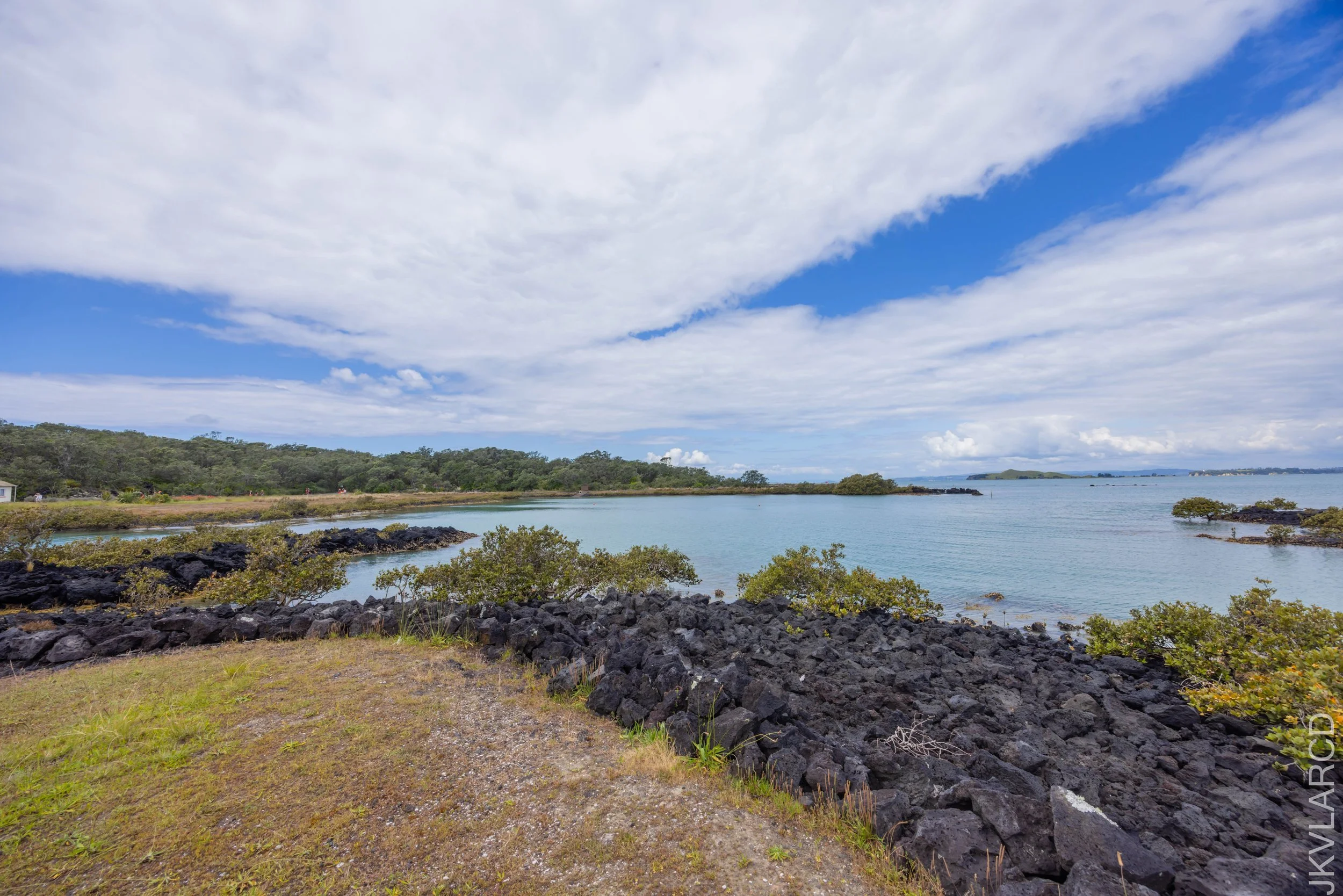 EOS R5_2024_11_08_0026.jpg