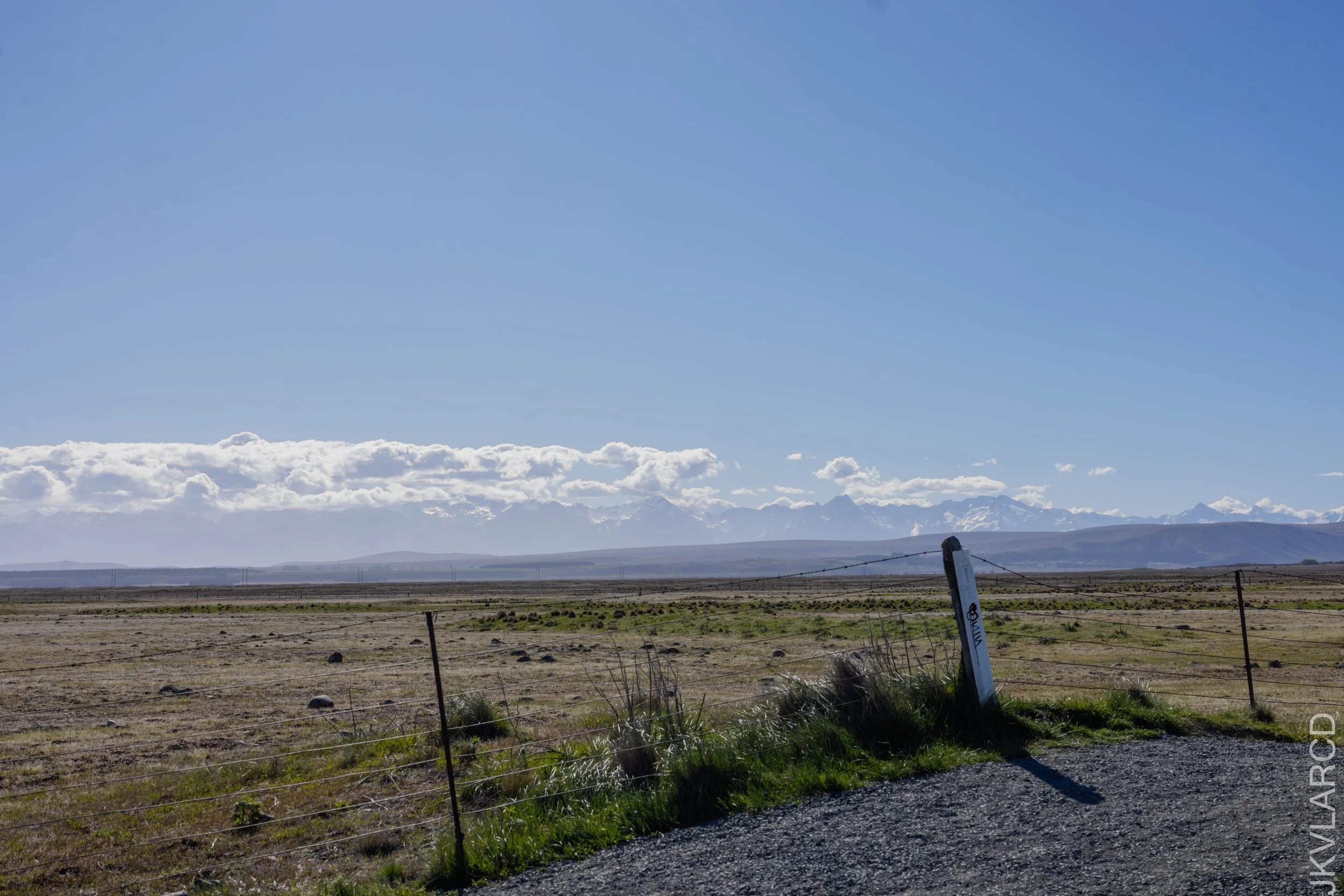 EOS R5_2024_11_11_0020.jpg
