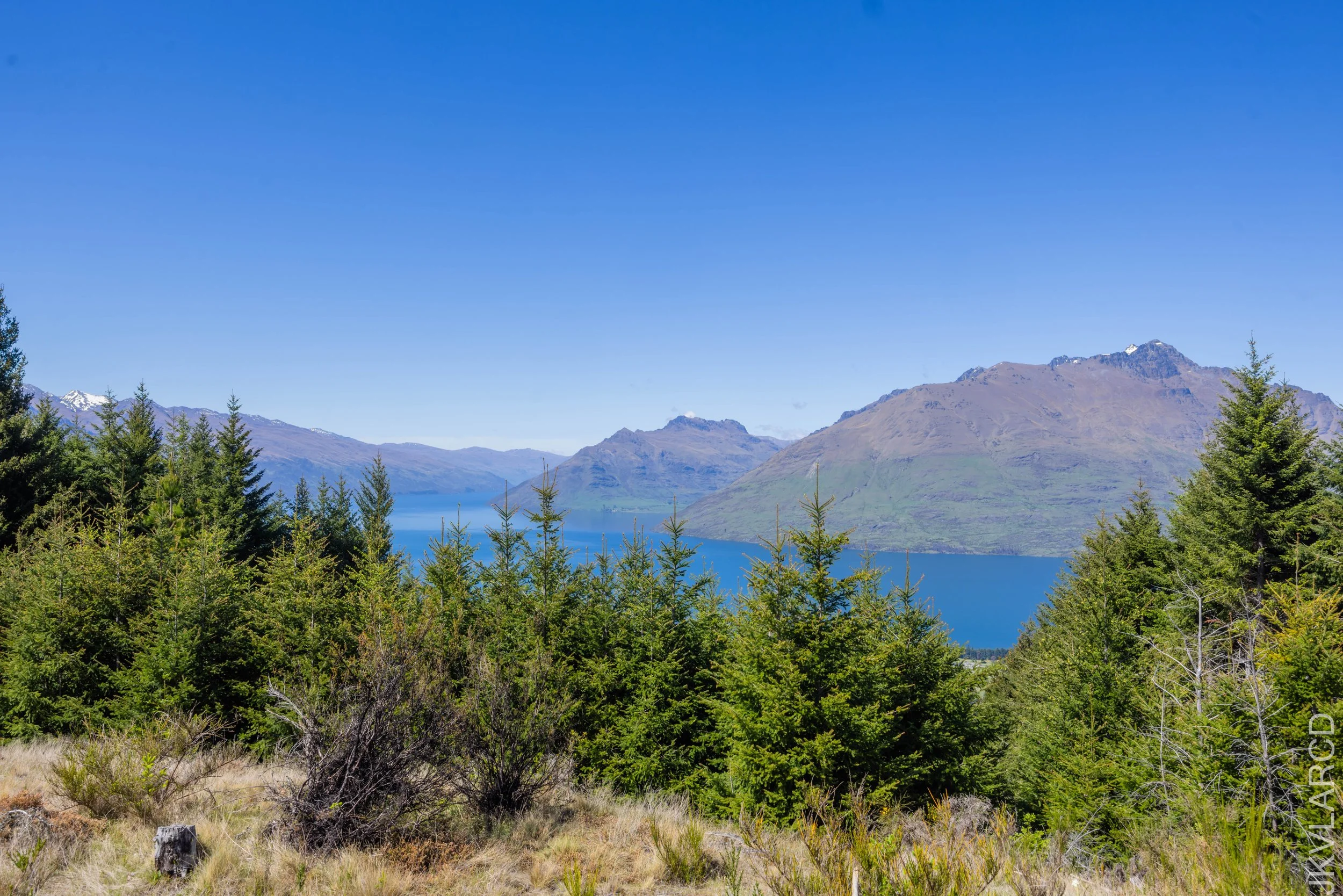 EOS R5_2024_11_12_0003.jpg