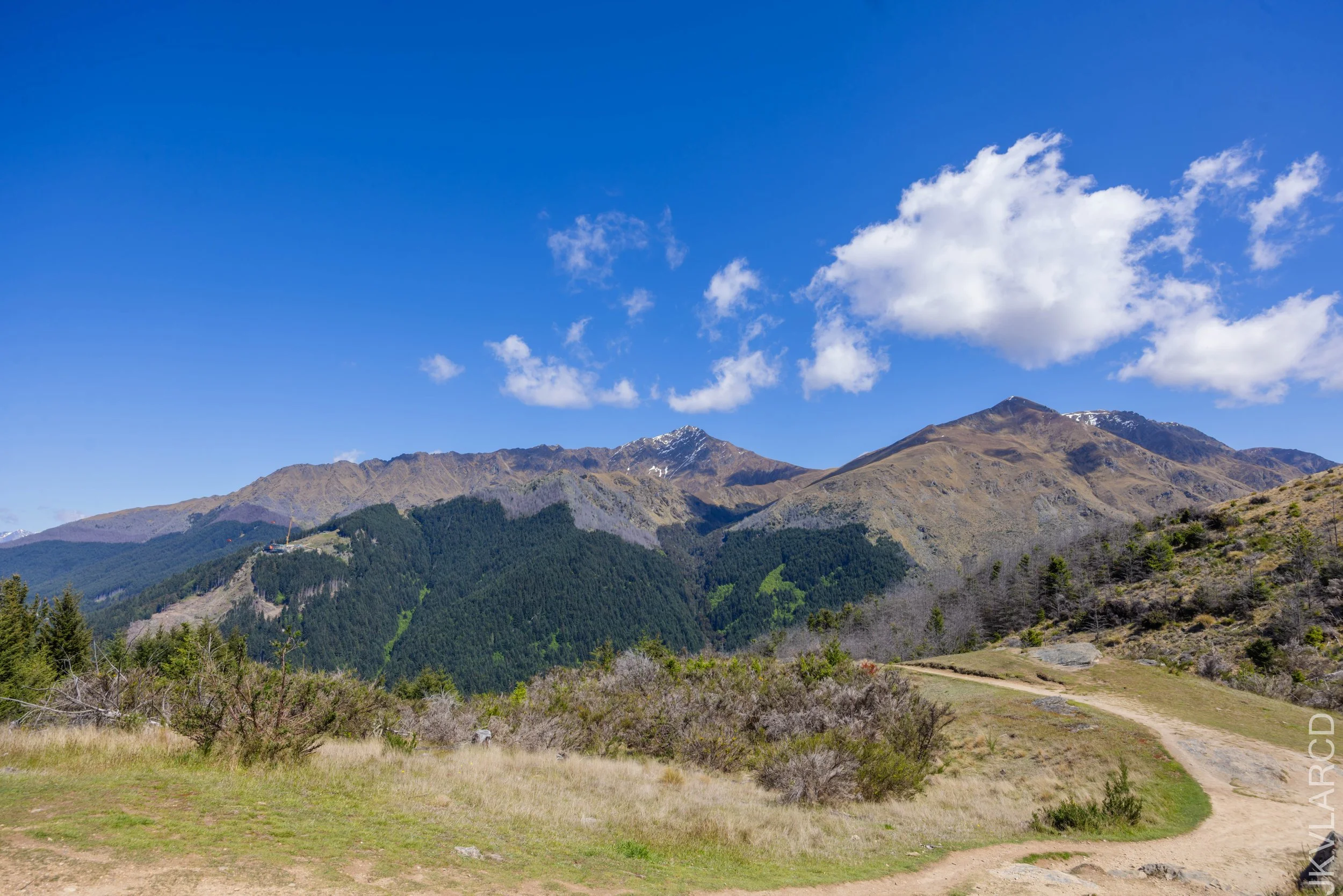 EOS R5_2024_11_12_0005.jpg