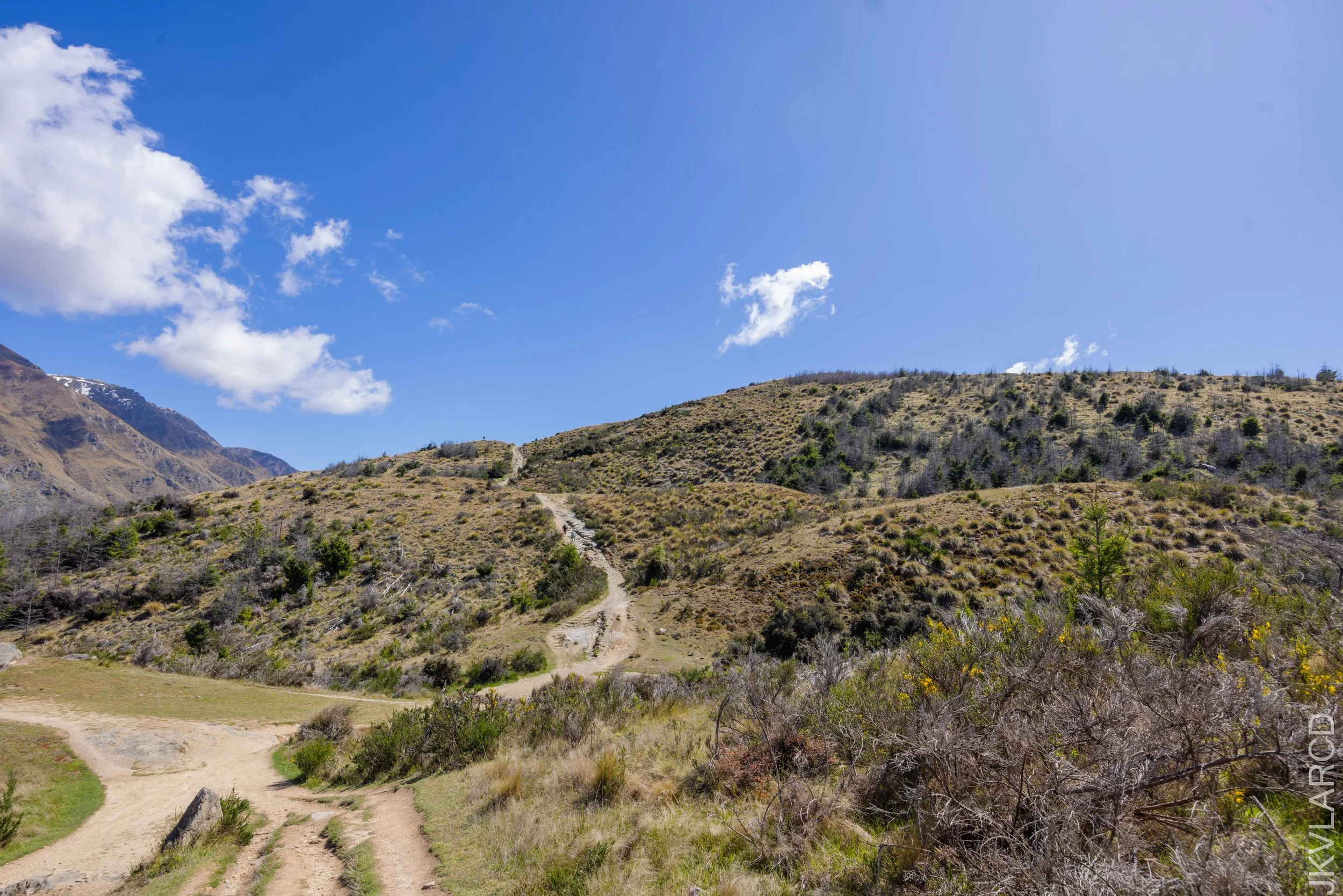 EOS R5_2024_11_12_0006.jpg