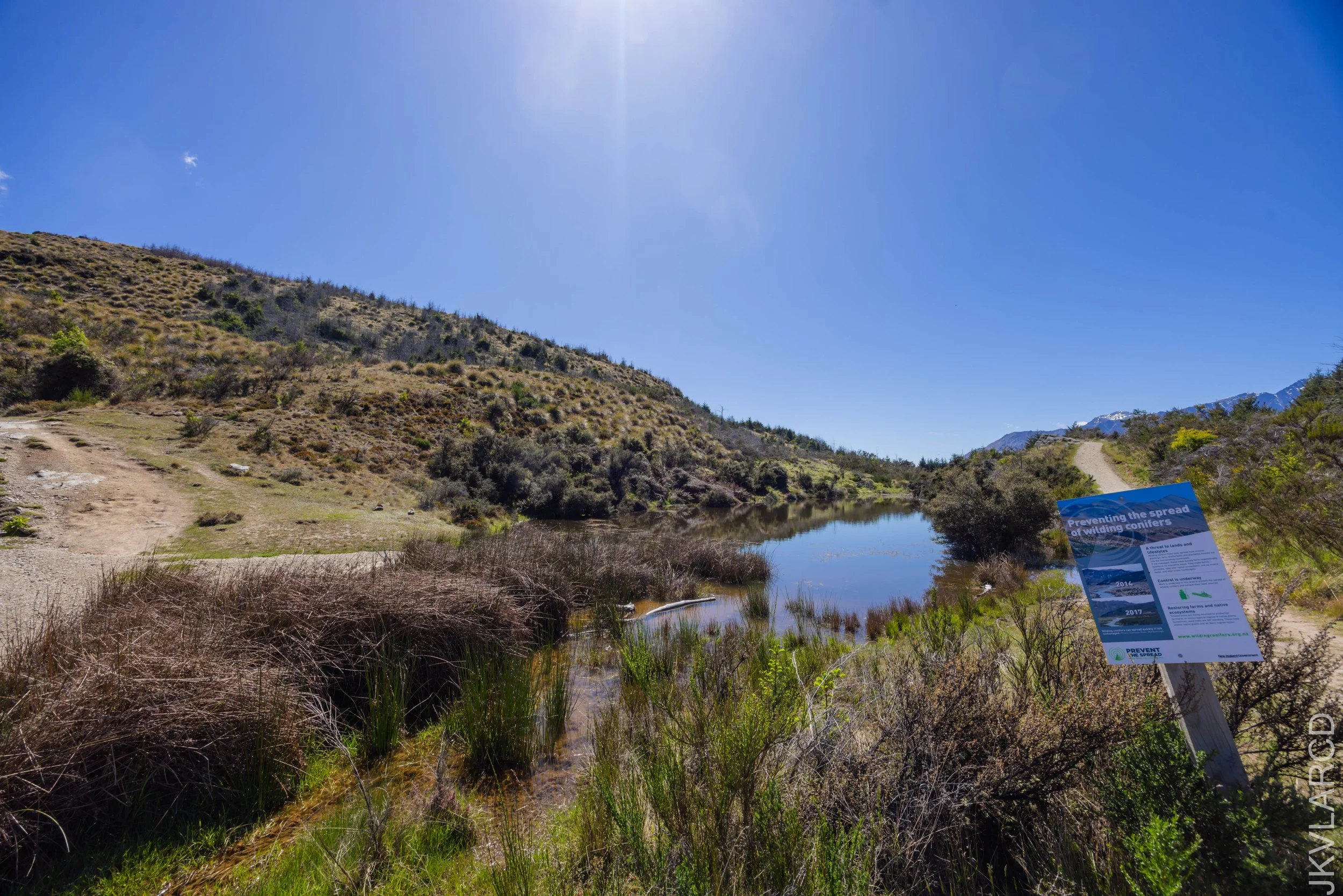 EOS R5_2024_11_12_0007.jpg