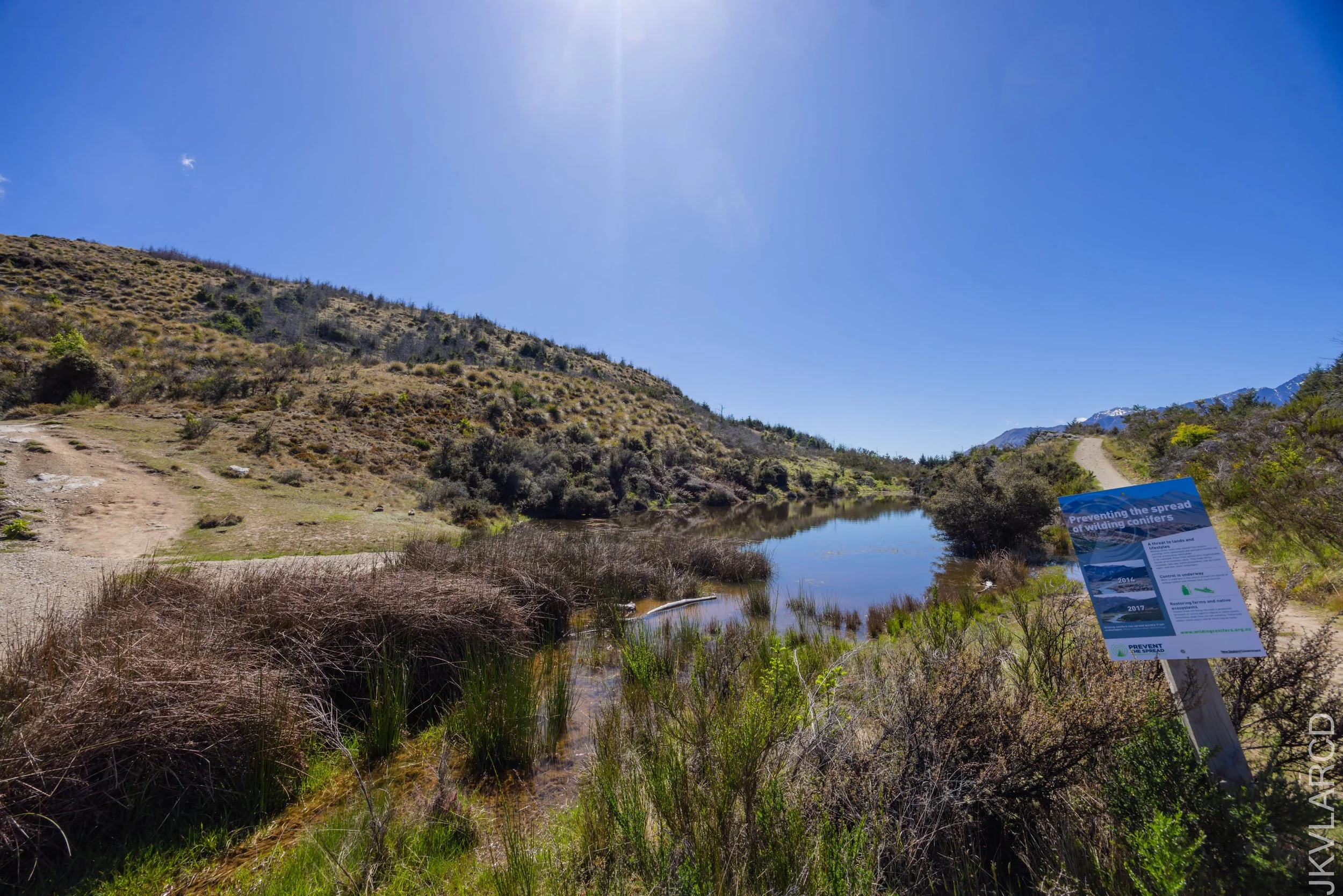 EOS R5_2024_11_12_0008.jpg