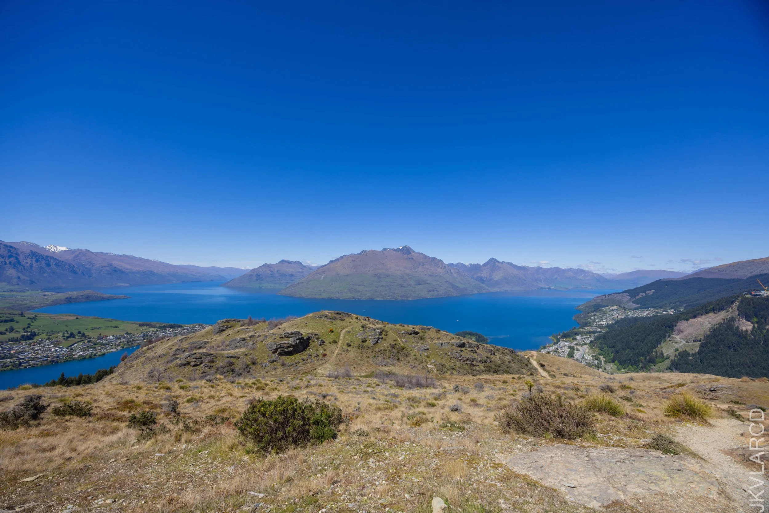 EOS R5_2024_11_12_0009.jpg