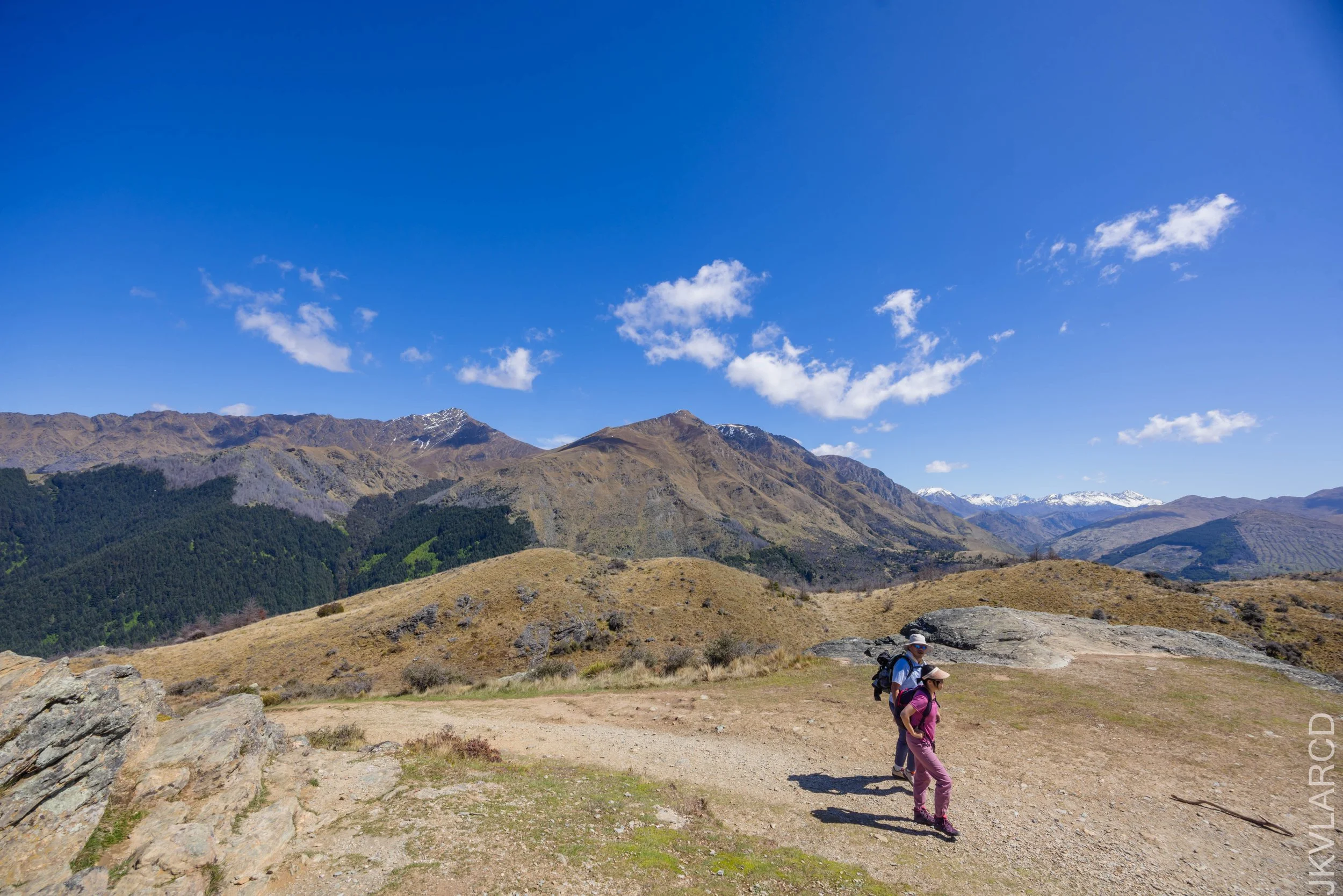 EOS R5_2024_11_12_0011.jpg