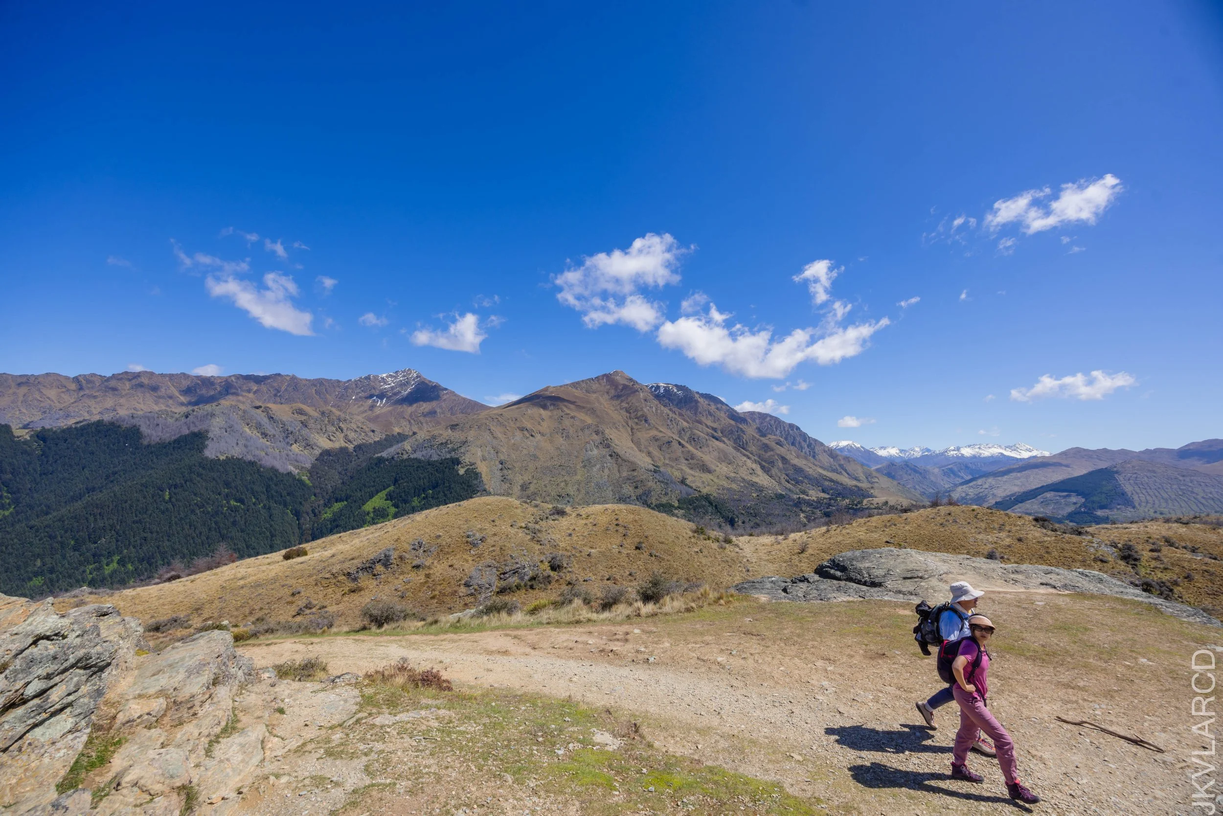 EOS R5_2024_11_12_0012.jpg