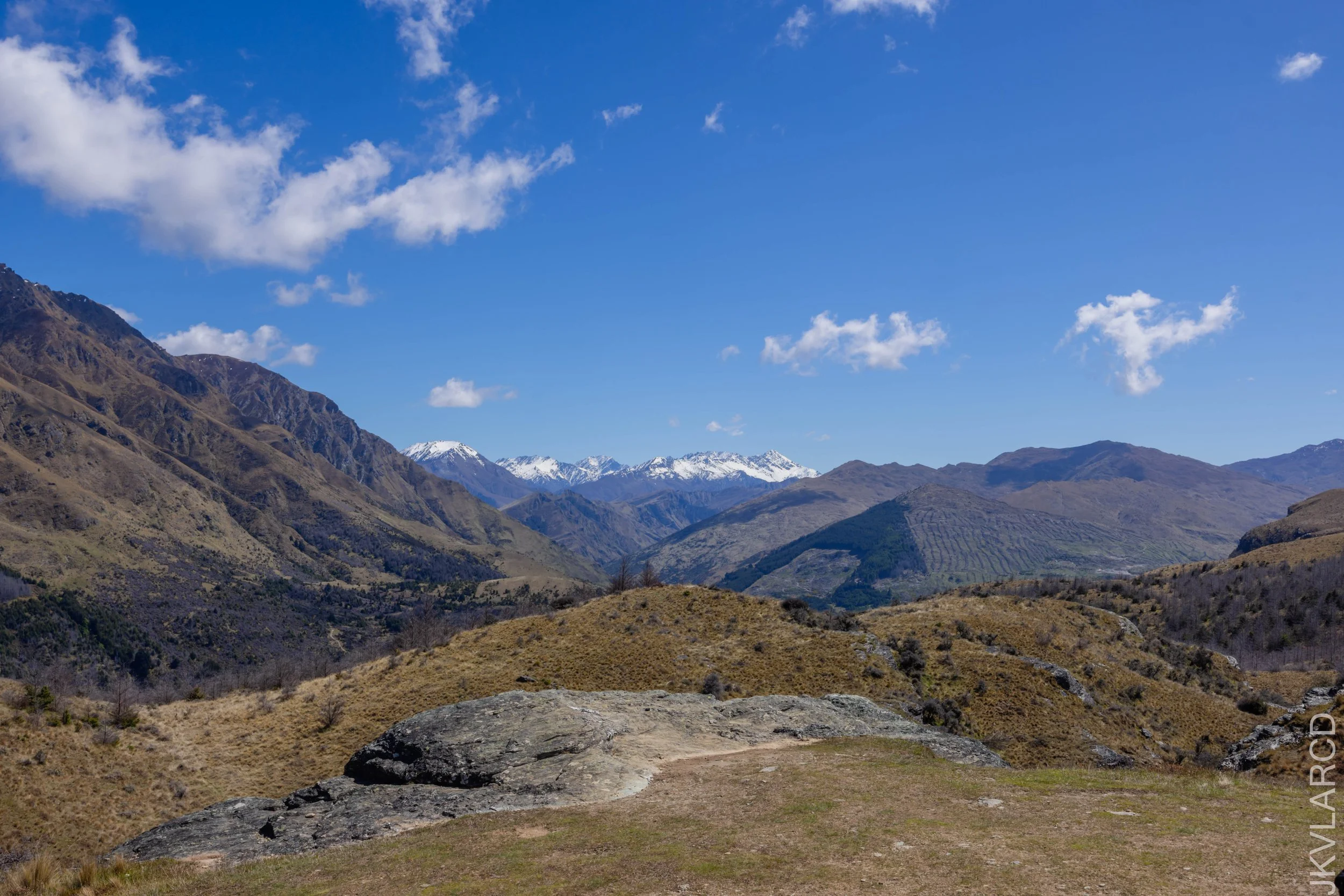 EOS R5_2024_11_12_0013.jpg