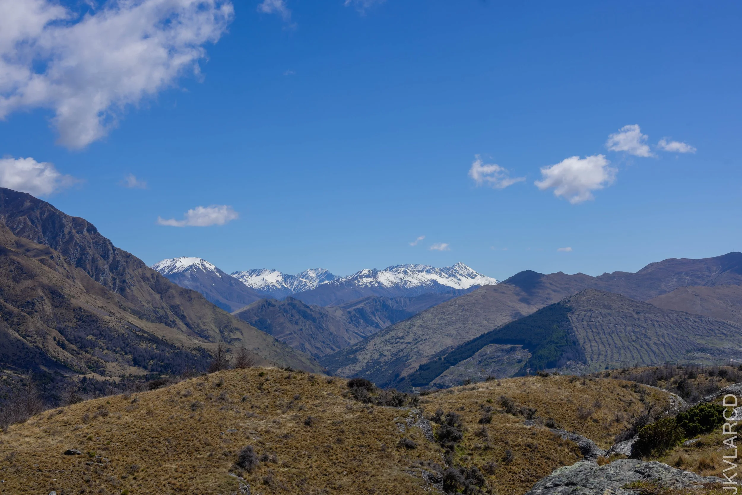 EOS R5_2024_11_12_0017.jpg