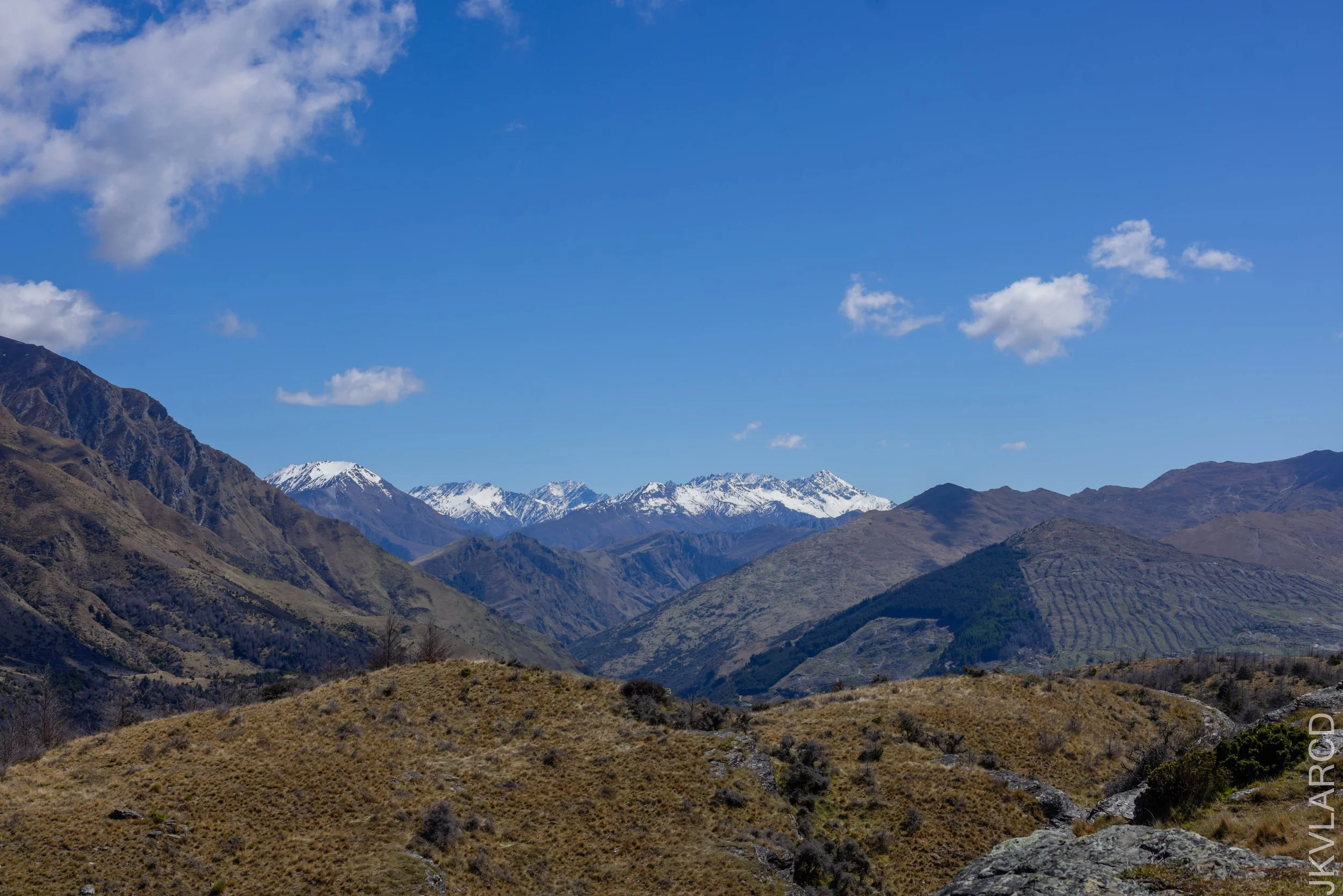 EOS R5_2024_11_12_0018.jpg