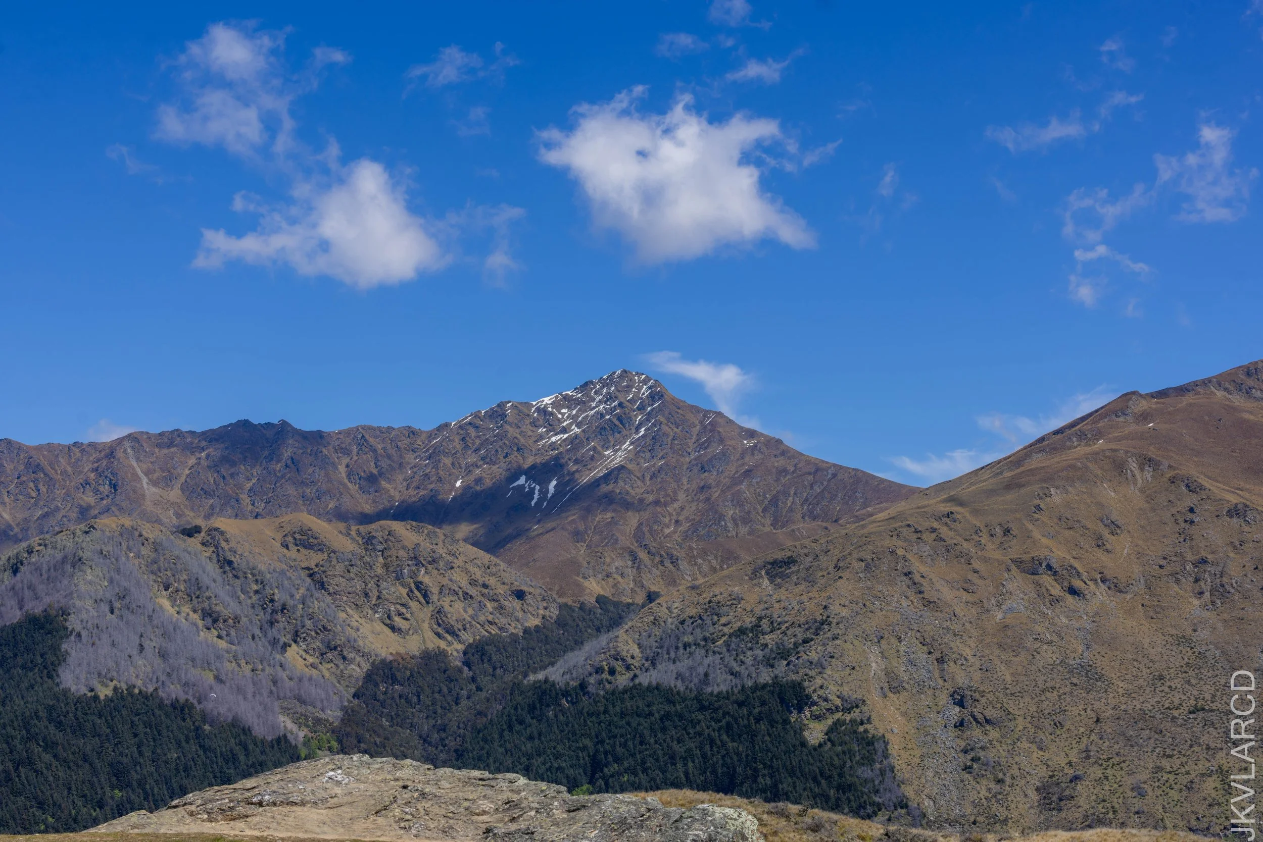 EOS R5_2024_11_12_0019.jpg