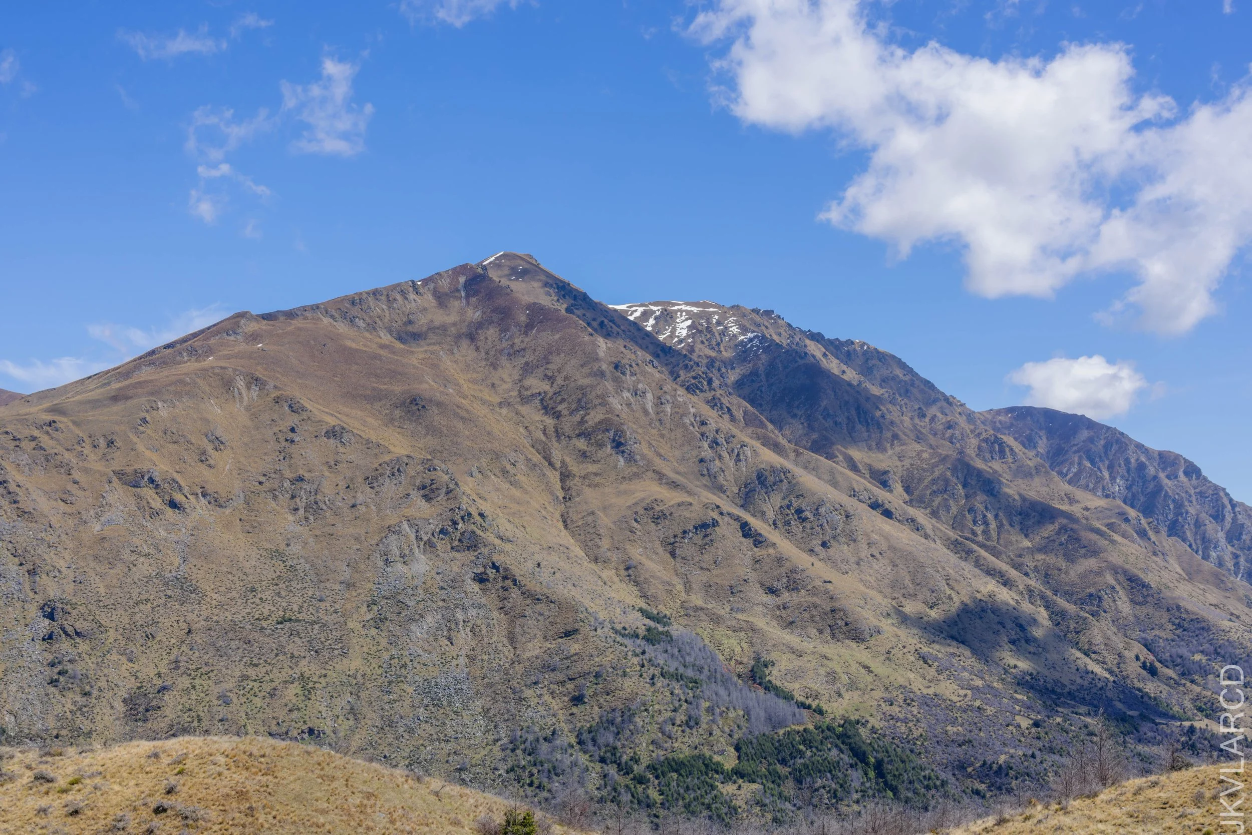 EOS R5_2024_11_12_0020.jpg