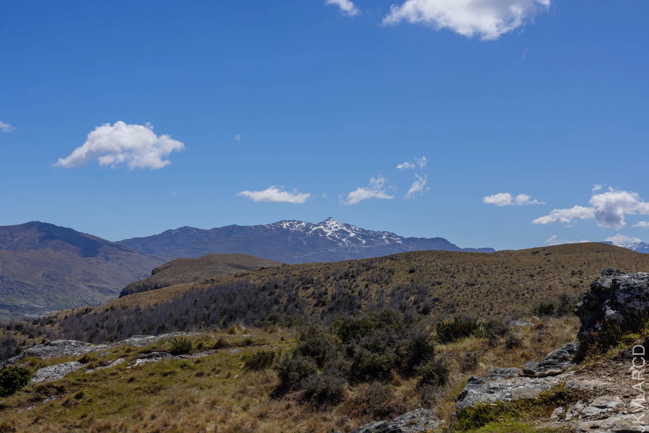 EOS R5_2024_11_12_0021.jpg